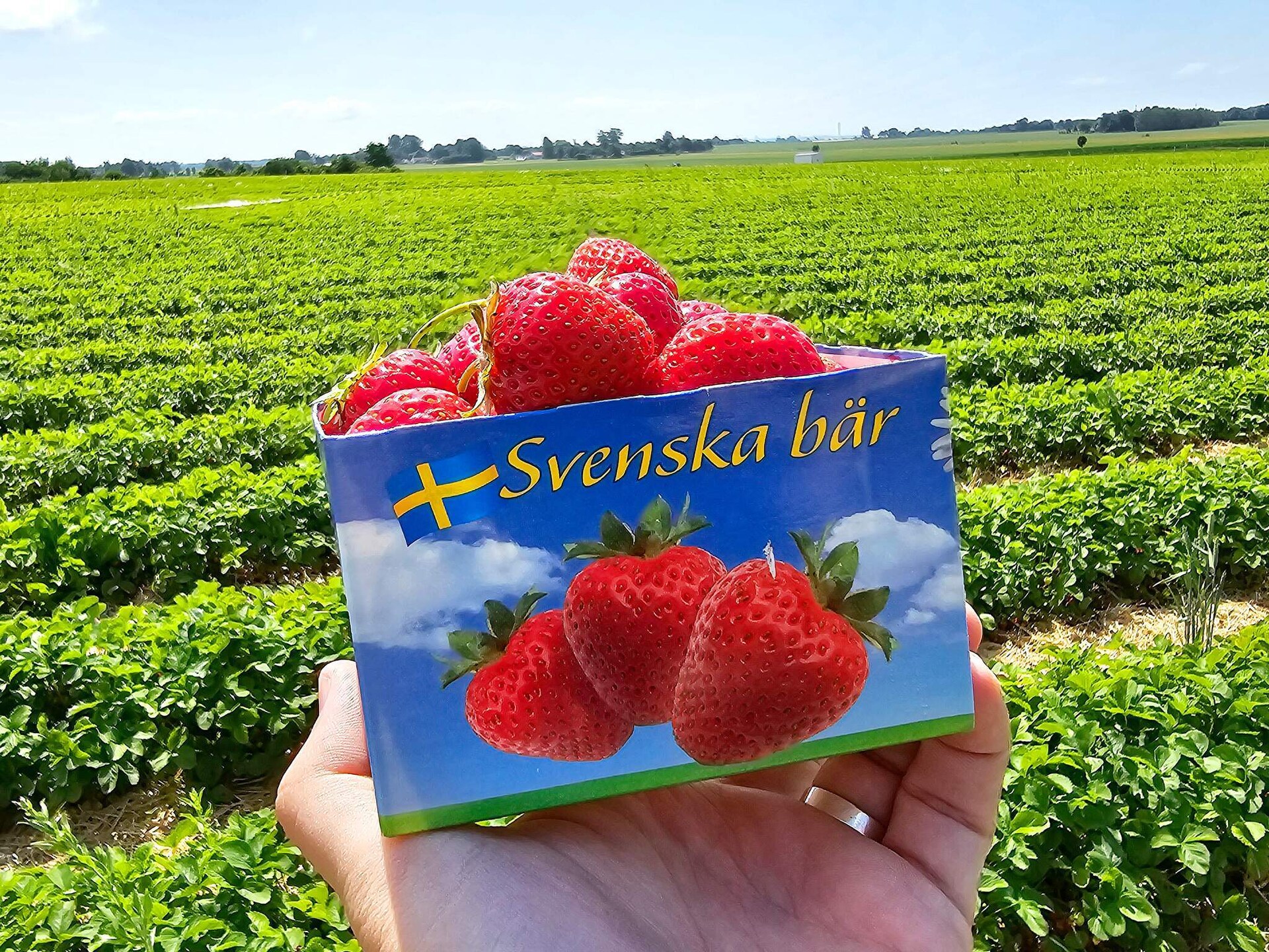 Op 1,2 km van zee: ruim vakantiehuis in Yngsjö voor 8 personen - foto 10