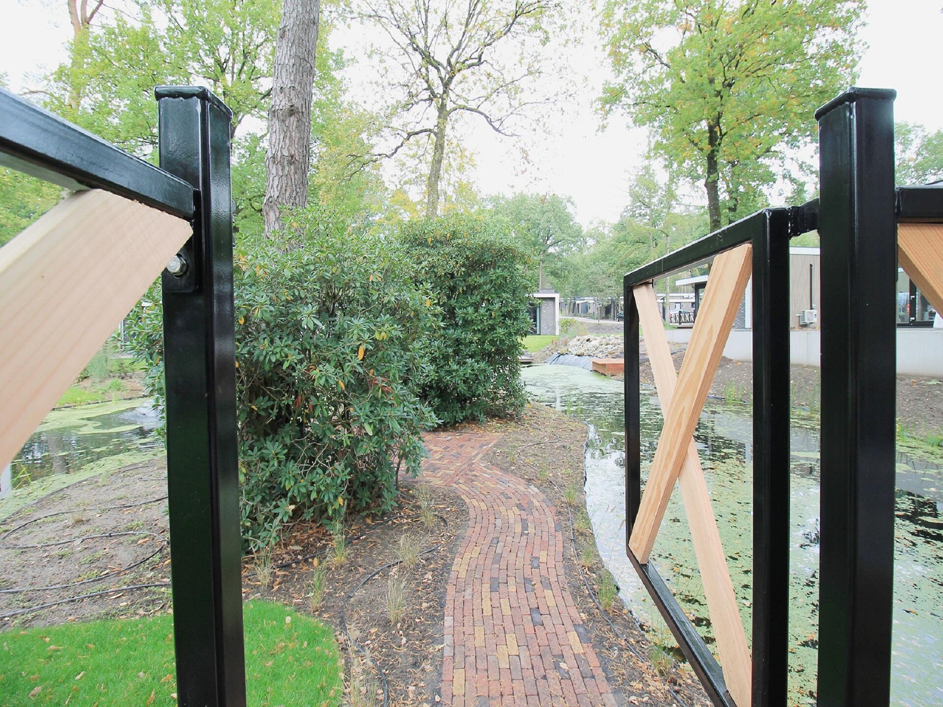 Luxe boshuis met vijverzicht op de Veluwe, huisdieren welkom - foto 16