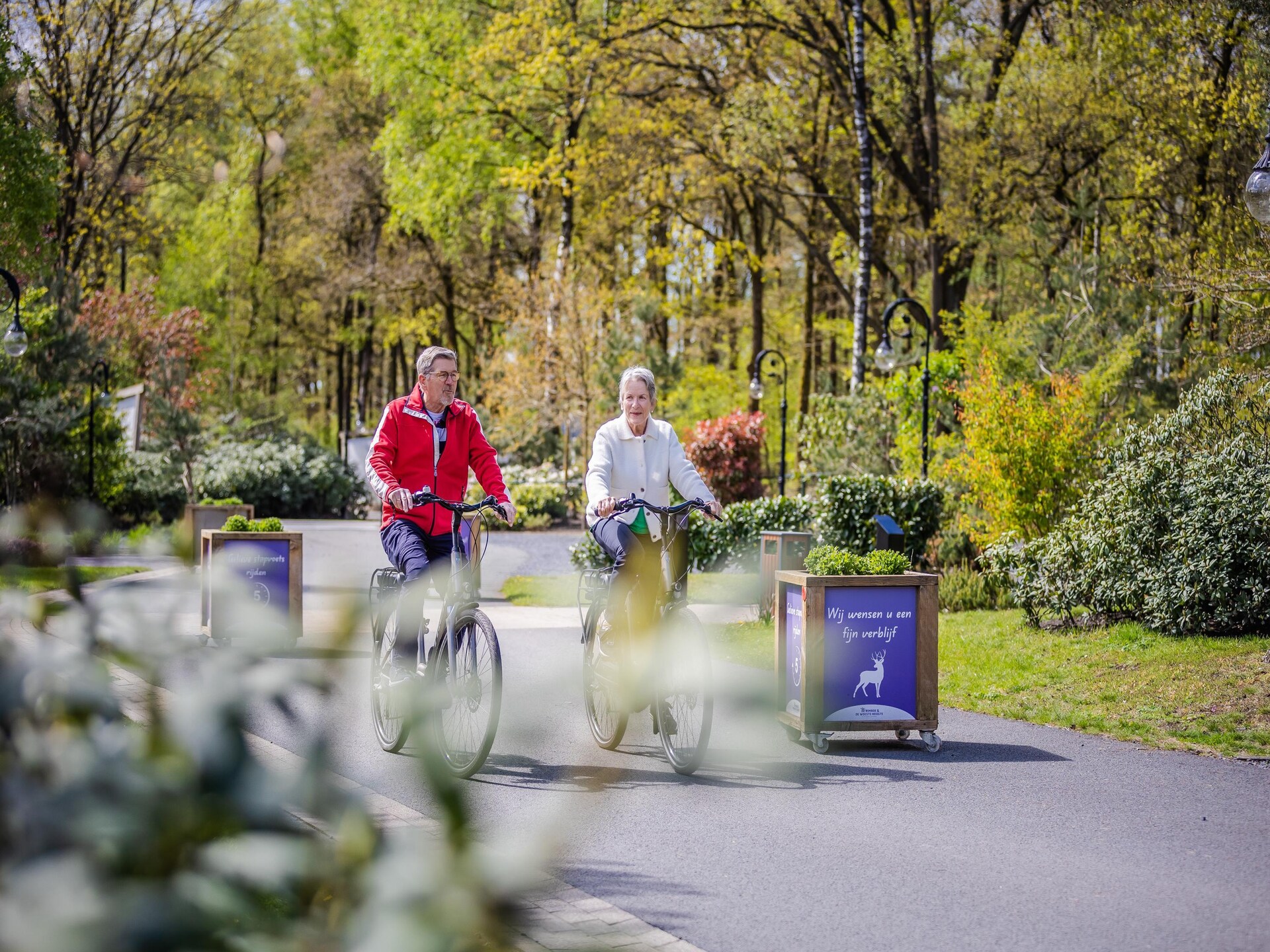 Luxe boshuis met vijverzicht op de Veluwe, huisdieren welkom - foto 31