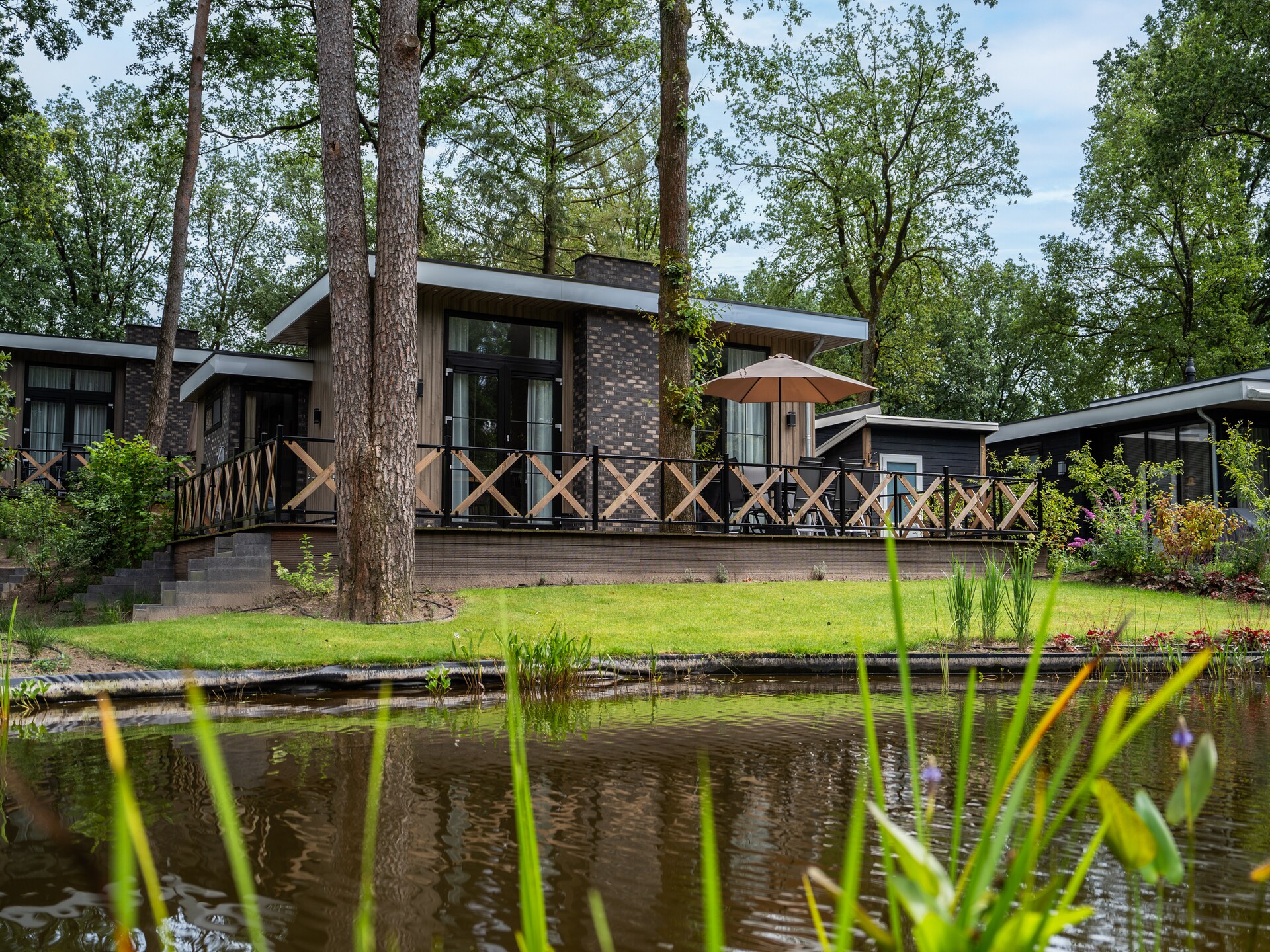 Luxe boshuis met vijverzicht op de Veluwe, huisdieren welkom - foto 18