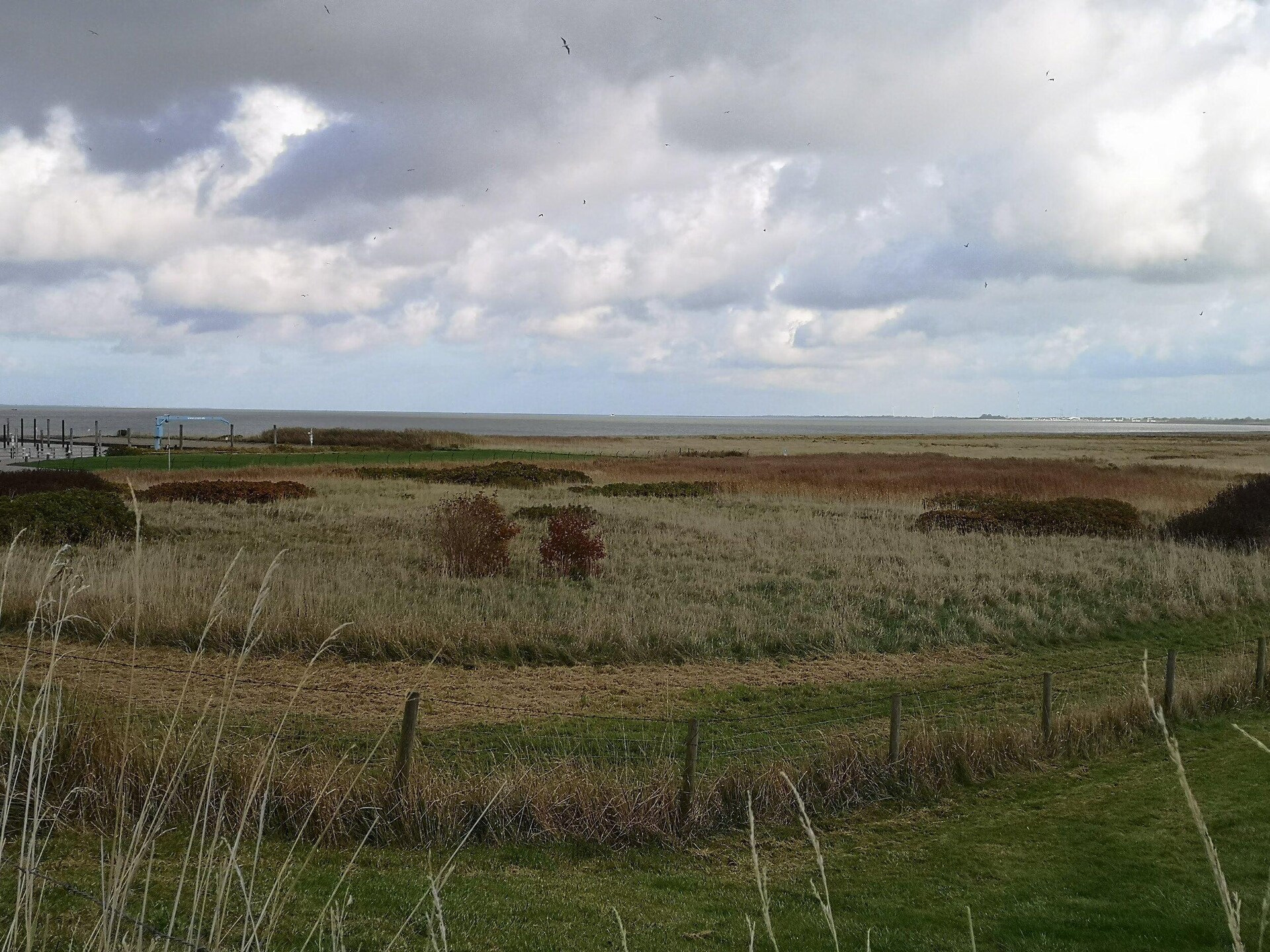 Vakantiehuis op 1,0 km van het meer in Dornumersiel - foto 38