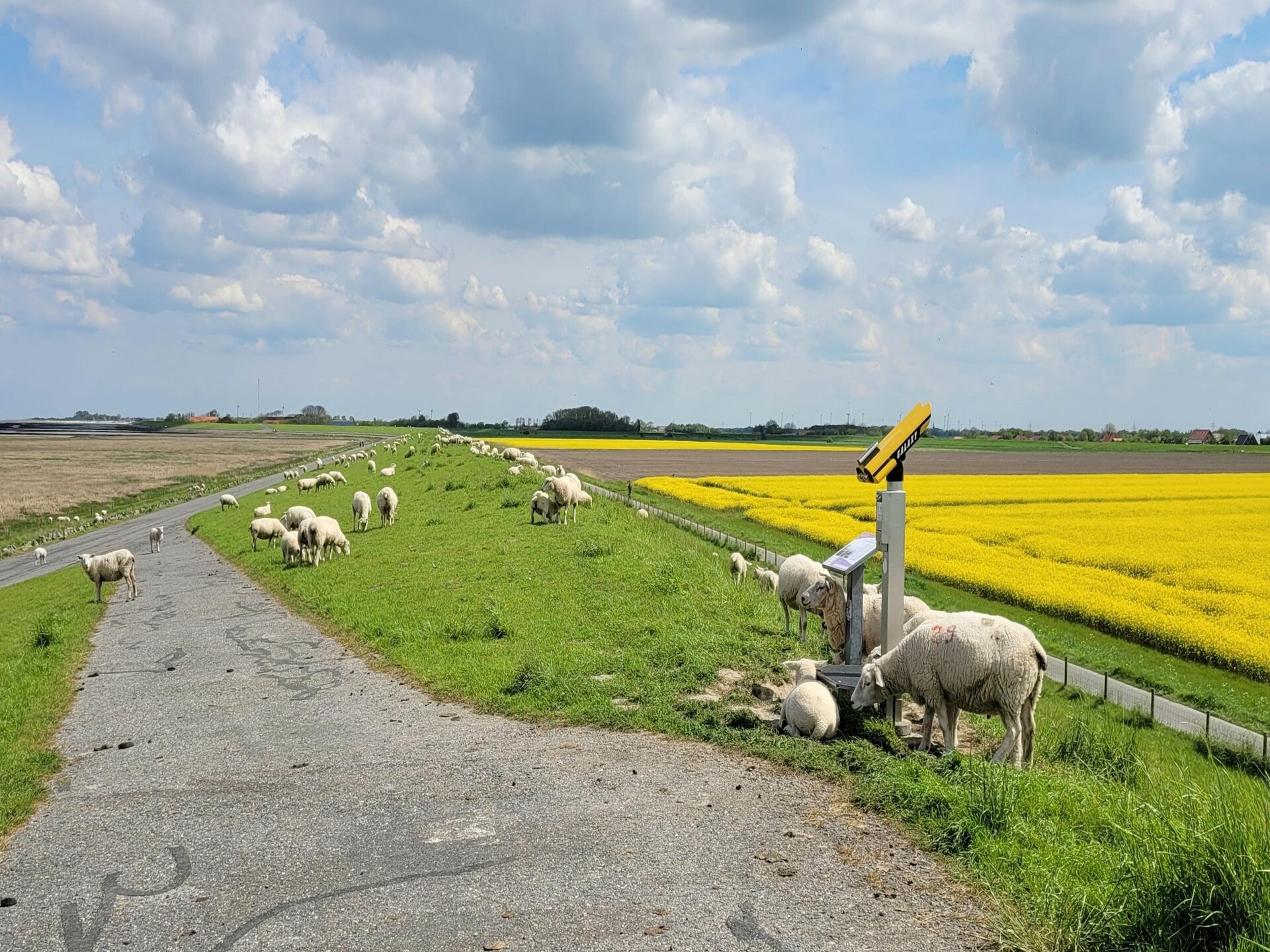 Vakantiehuis op 1,0 km van het meer in Dornumersiel - foto 17