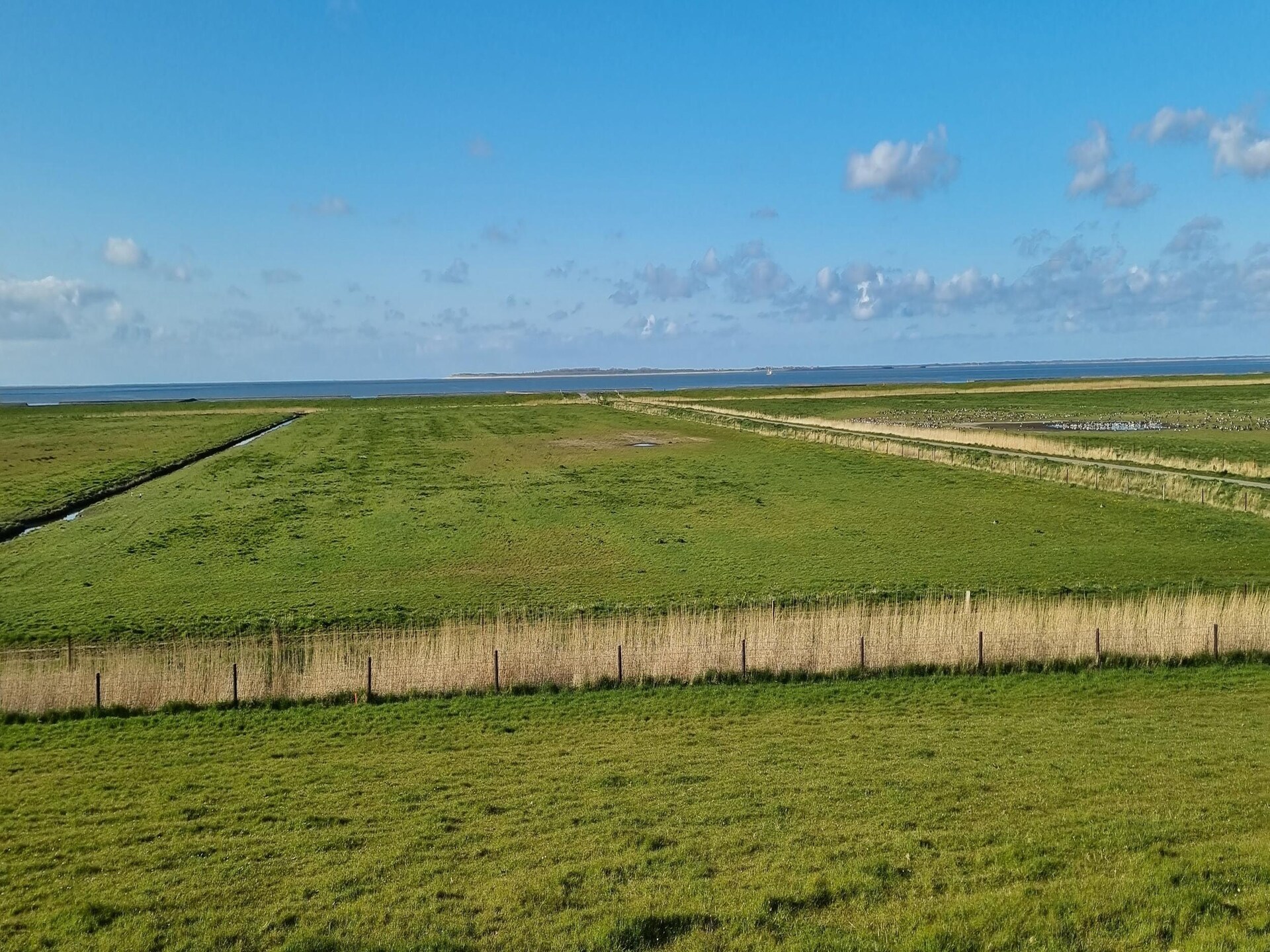 Vakantiehuis op 1,0 km van het meer in Dornumersiel - foto 15
