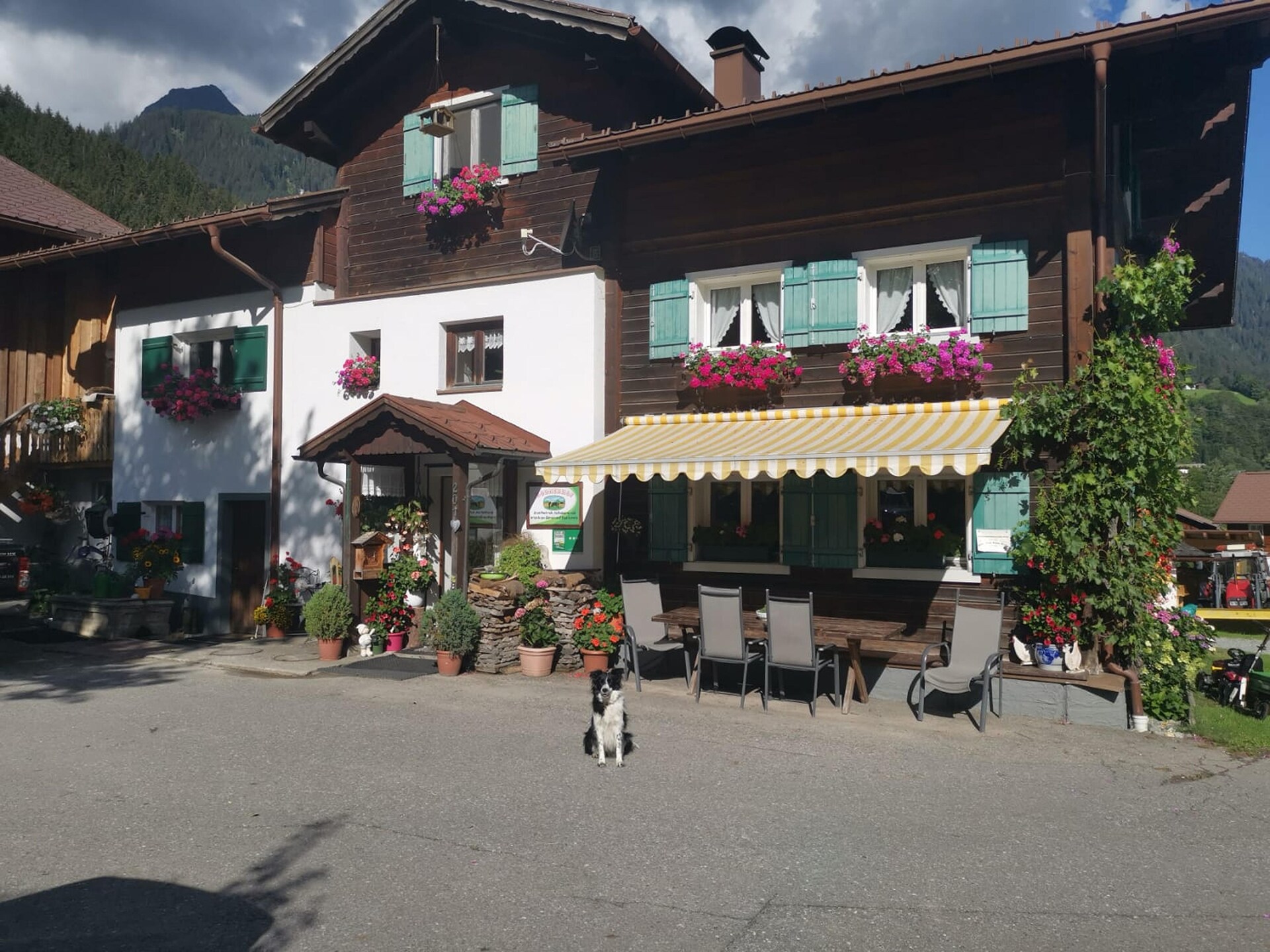 Stijlvol appartement op boerderij aan de bosrand, vlakbij skilift - foto 37