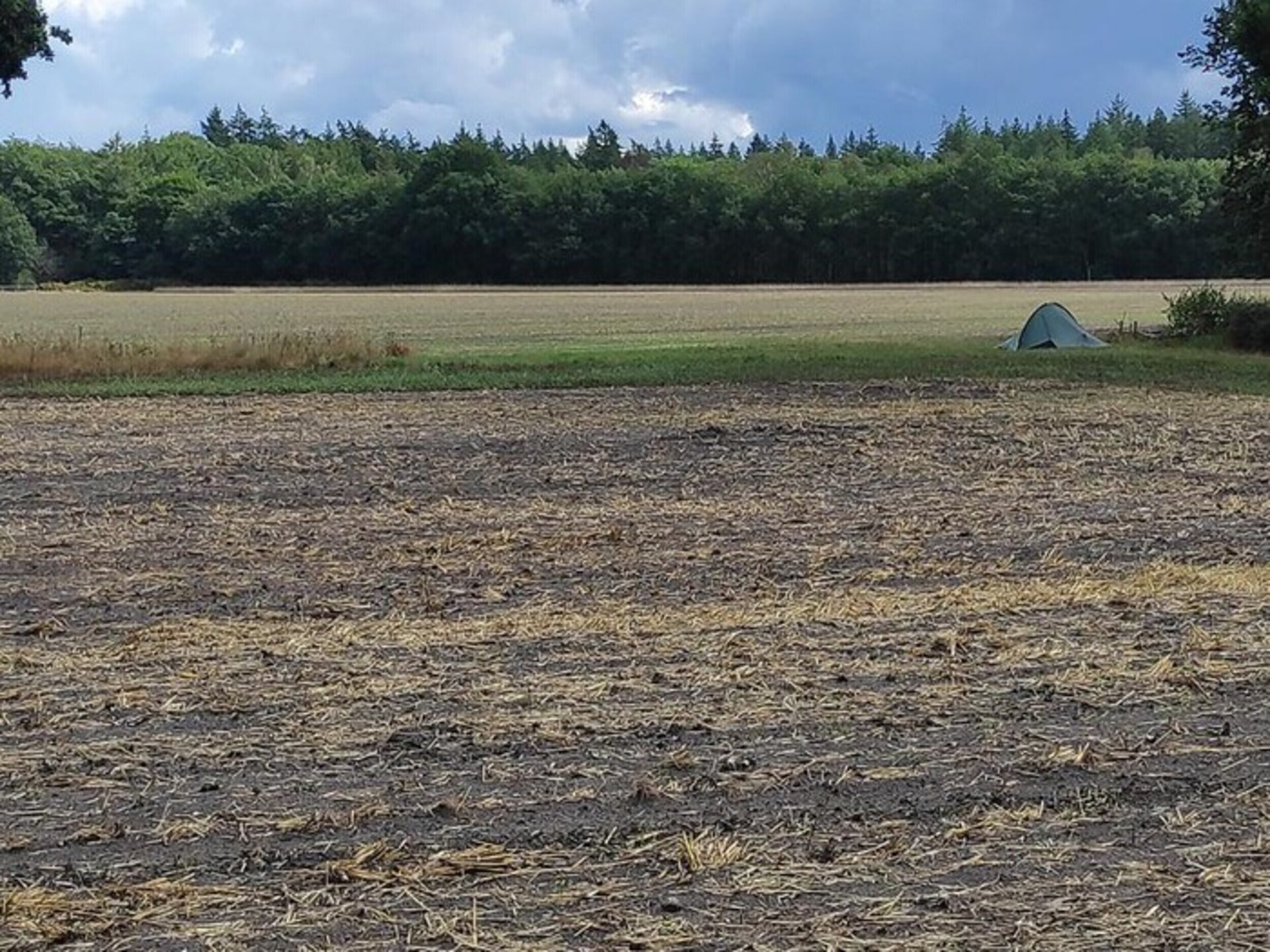 Knus vakantiehuis op de Veluwe met zwembad en sauna in Voorthuizen - foto 29