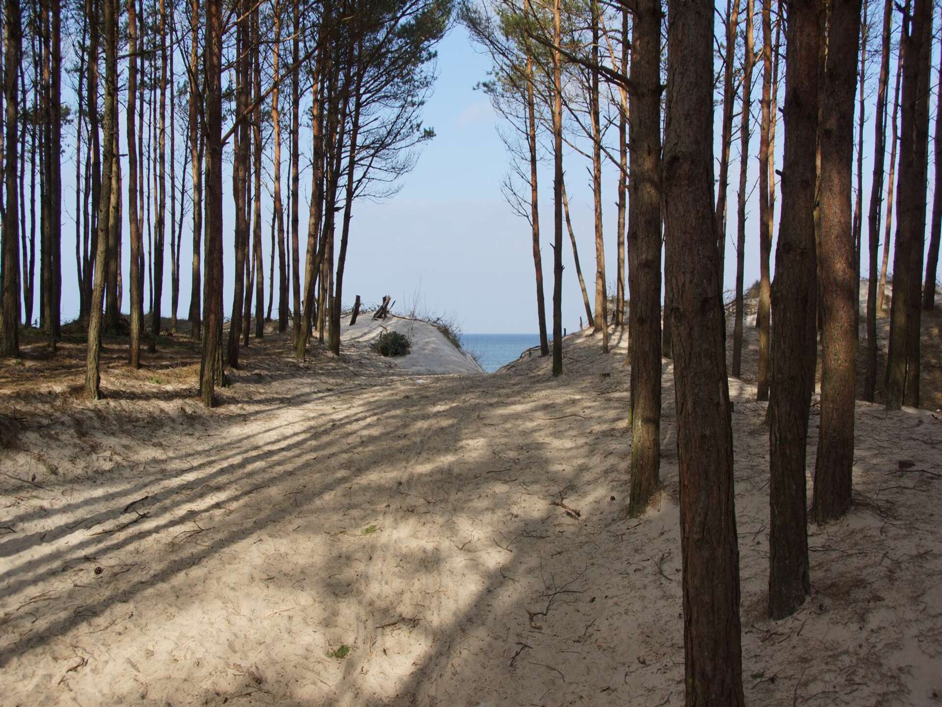 6-persoons vakantiehuis in Mielenko op 350 m van het strand - foto 19