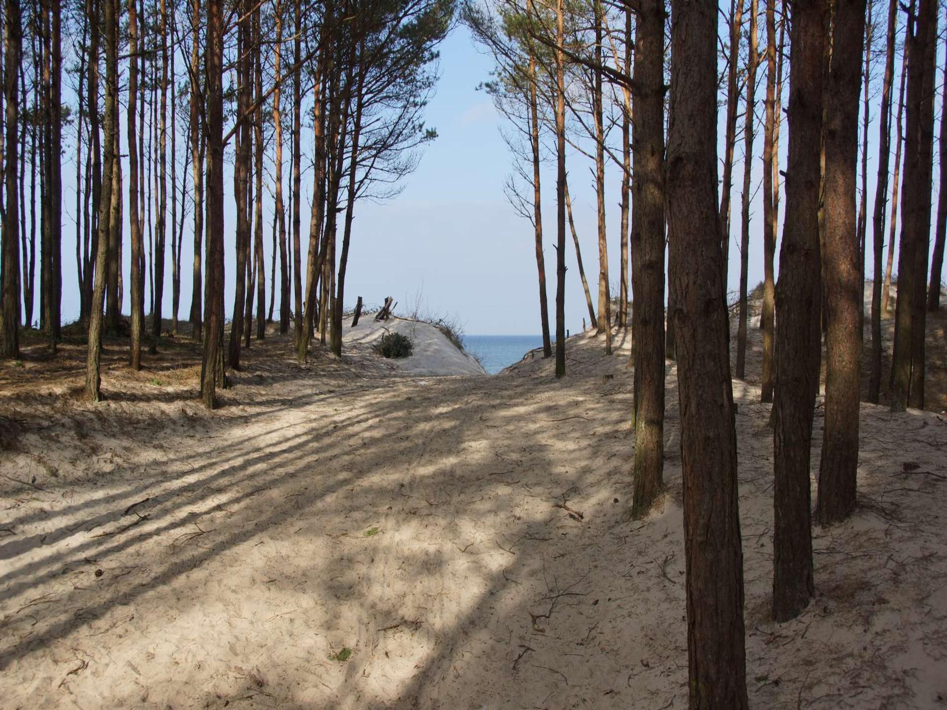 6-persoons vakantiehuis in Mielenko op 350 m van het strand - foto 22