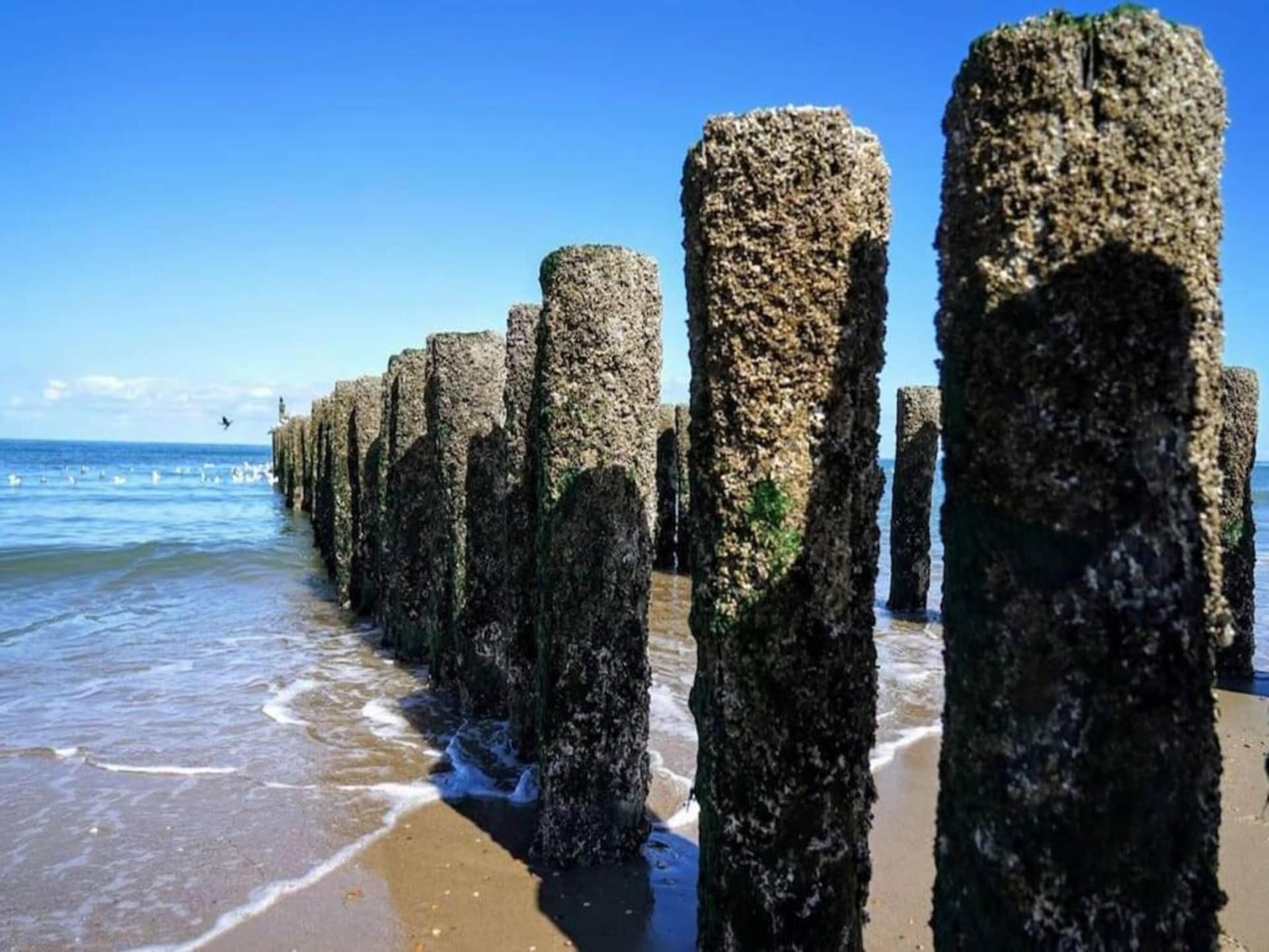 Sol e Mar | Romantisch appartement in Zonnemaire met twee terrassen - foto 30