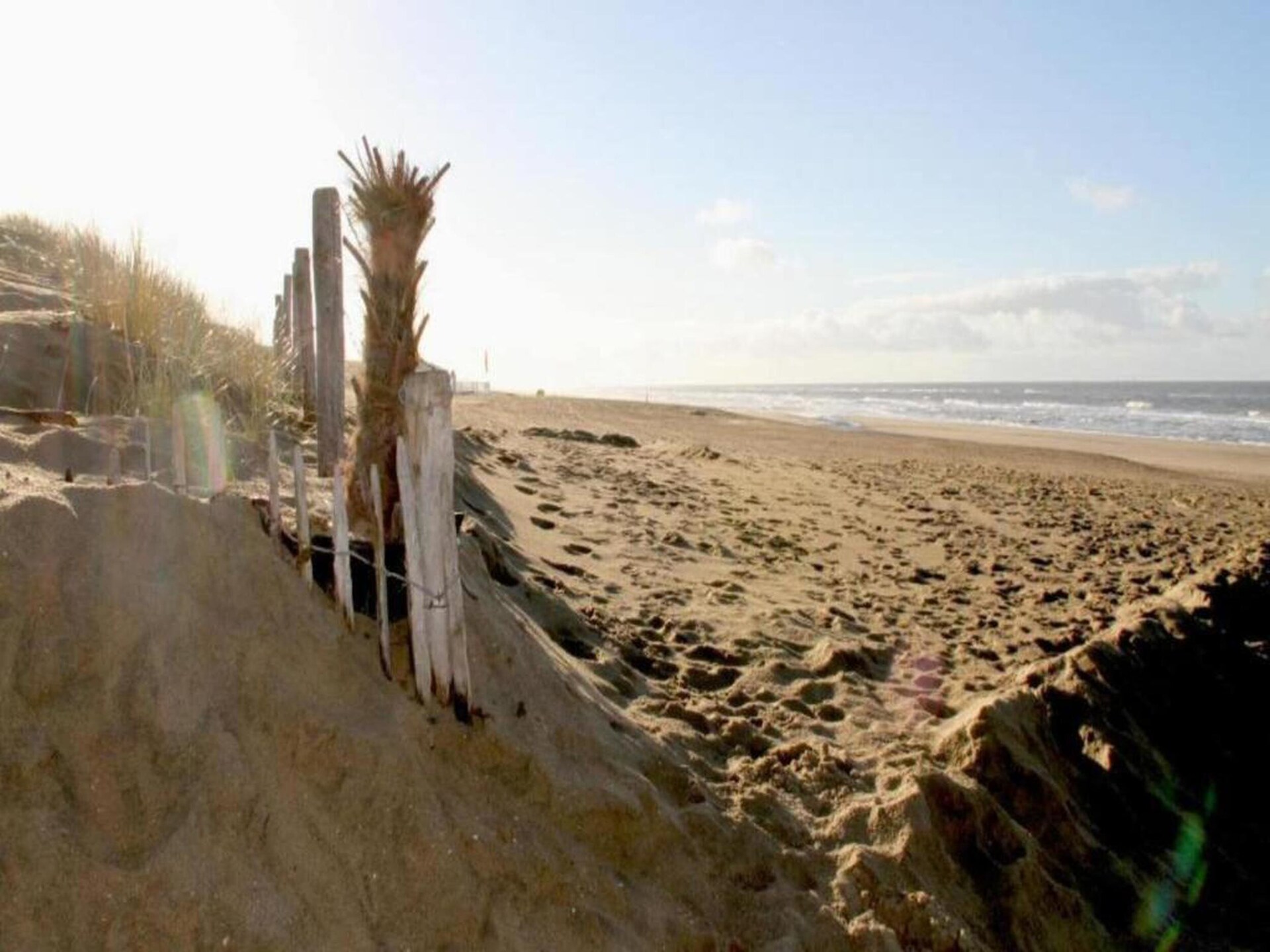 Knus strandchalet met omheinde tuin, hondenklaar bij Noordwijk aan Zee - foto 37