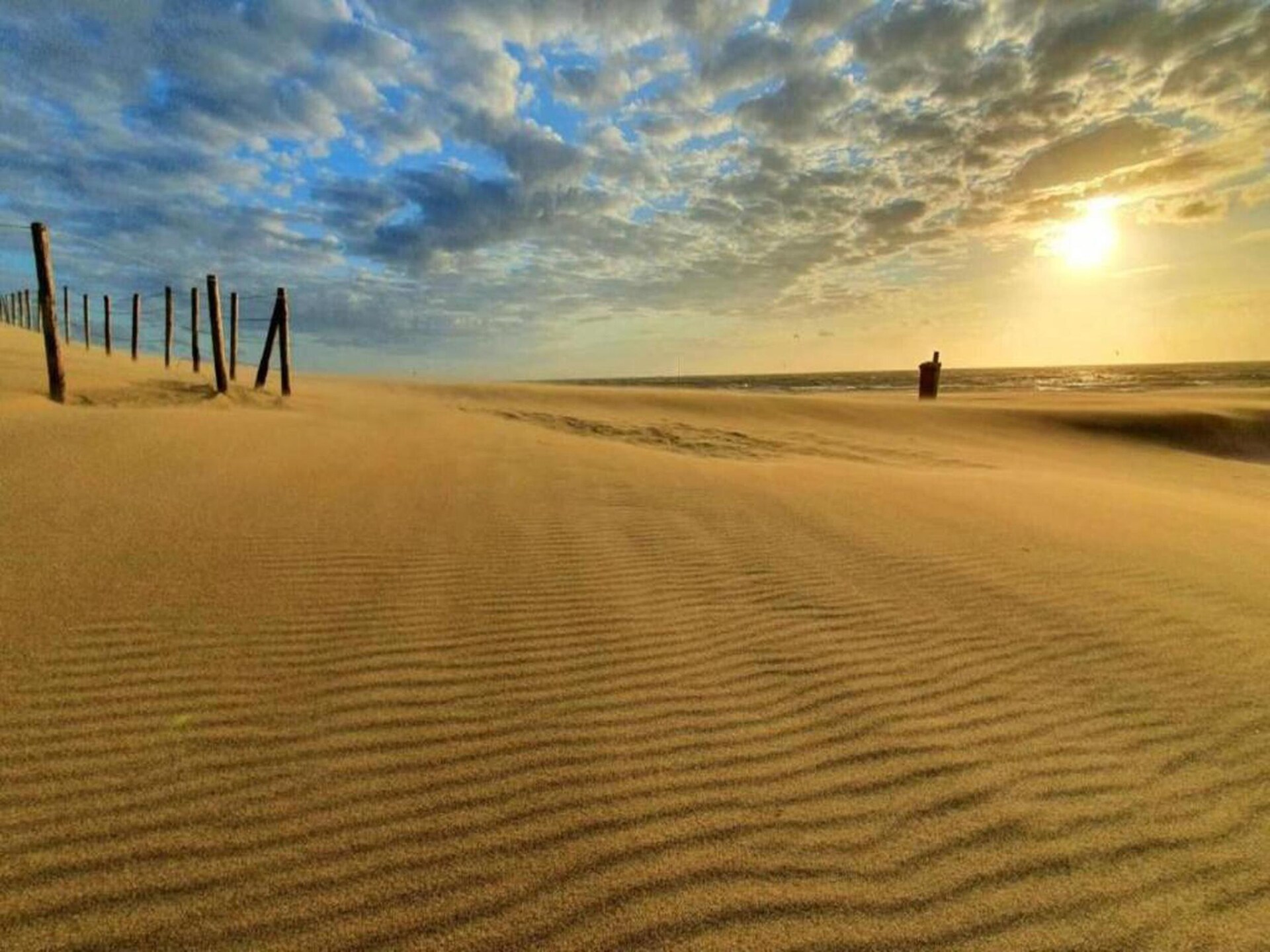 Knus strandchalet met omheinde tuin, hondenklaar bij Noordwijk aan Zee - foto 40