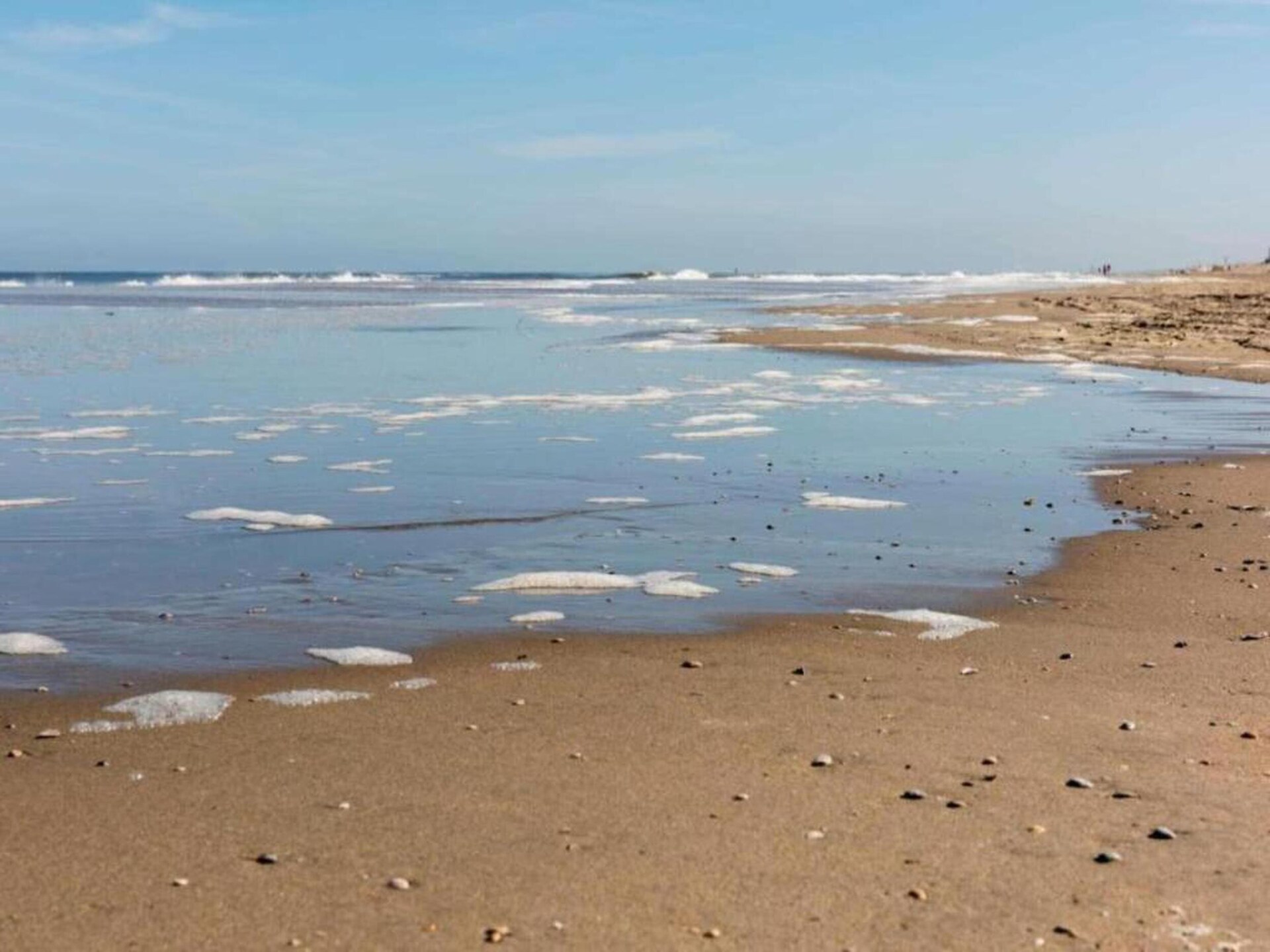 Knus strandchalet met omheinde tuin, hondenklaar bij Noordwijk aan Zee - foto 29