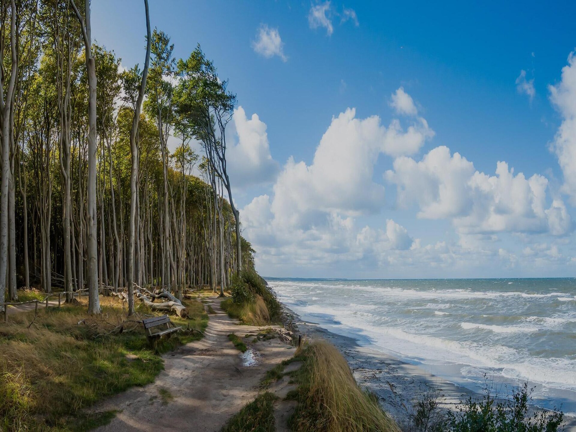 Comfortabel vakantiehuis voor 8 personen op 450m van strand in Sarbinowo - foto 27