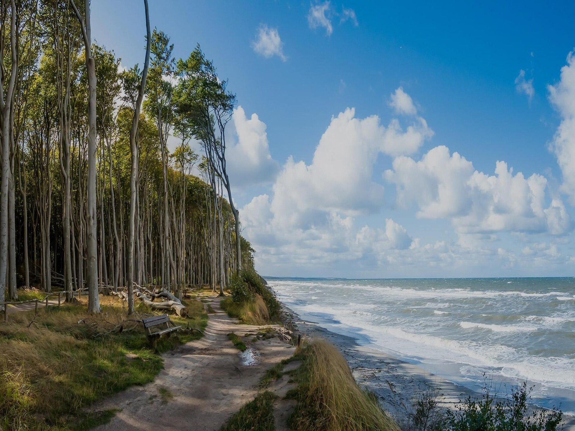 Knus appartement voor 4 in bosrijk vakantiepark bij strand Sarbinowo - foto 30