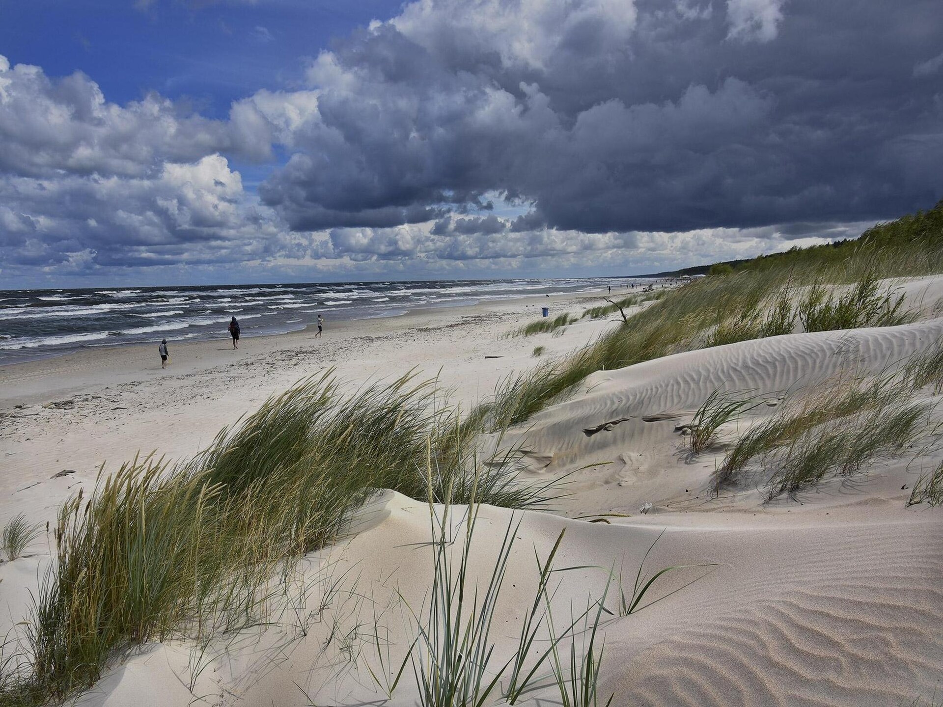 Knus appartement voor 4 in bosrijk vakantiepark bij strand Sarbinowo - foto 31