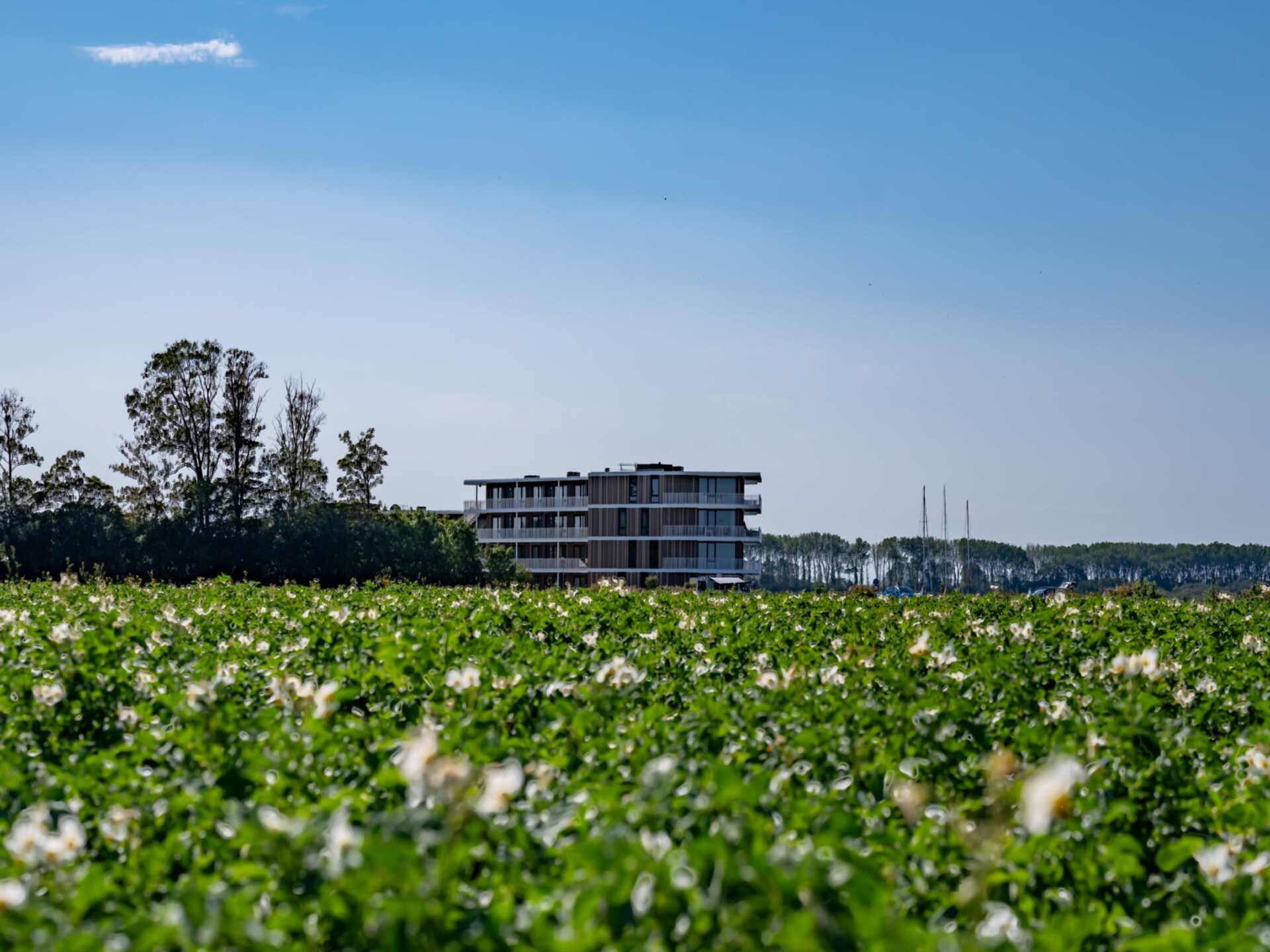 Luxe appartement aan het Veerse Meer met jachthaven en golfbaan - 4 pers - foto 12