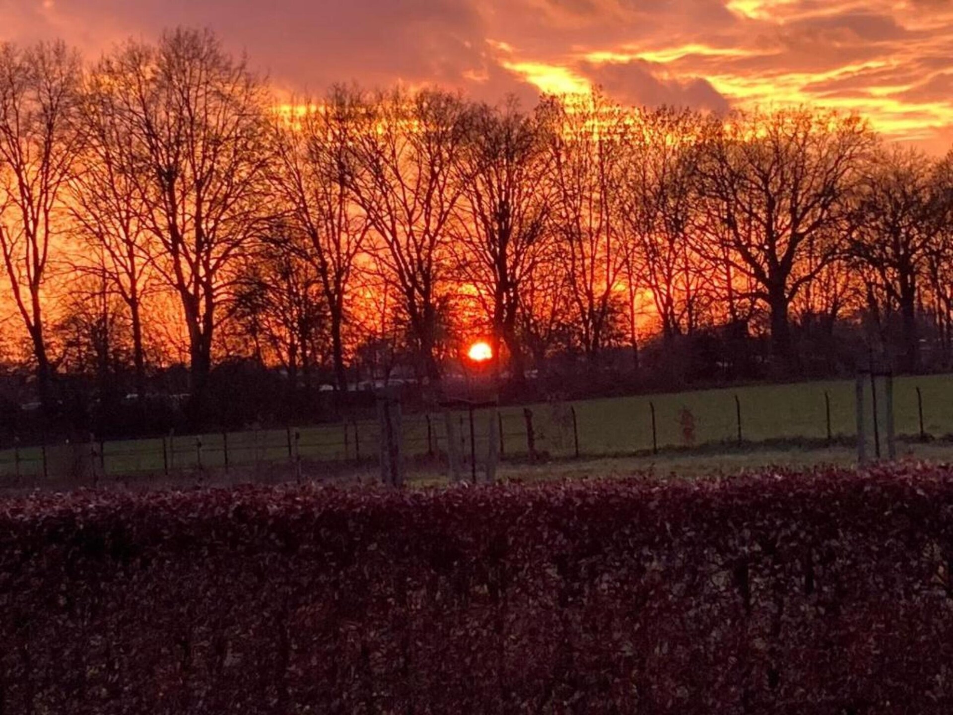 Vrijstaande bungalow in bosrijk Plasmolen, ideaal voor natuurliefhebbers - foto 30