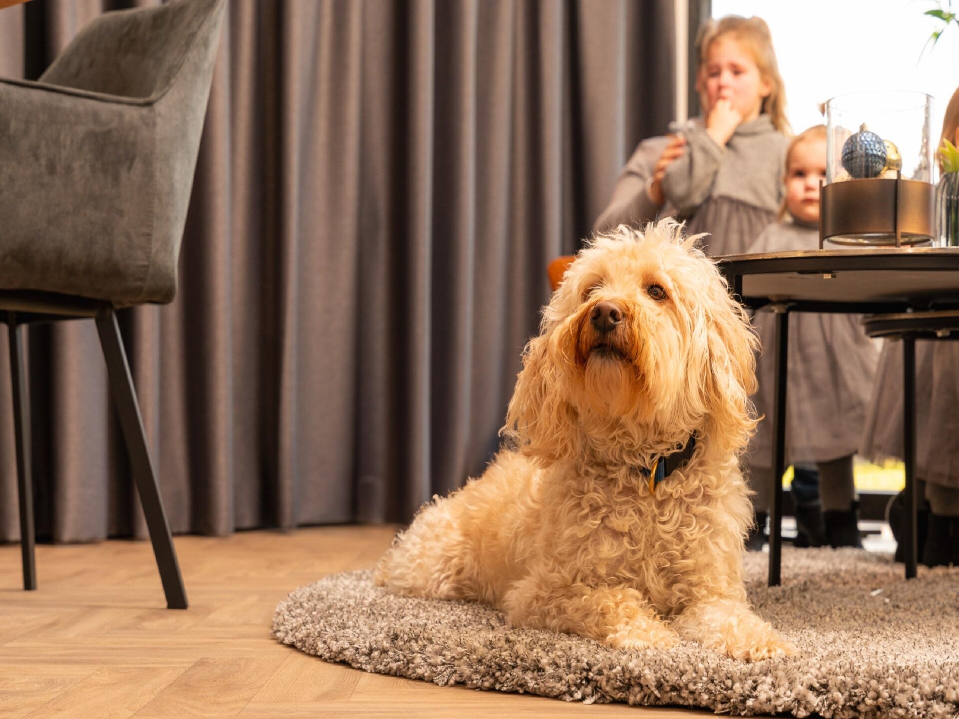 Luxe vrijstaand waterhuis voor 6 personen aan de Loosdrechtse Plassen - foto 32