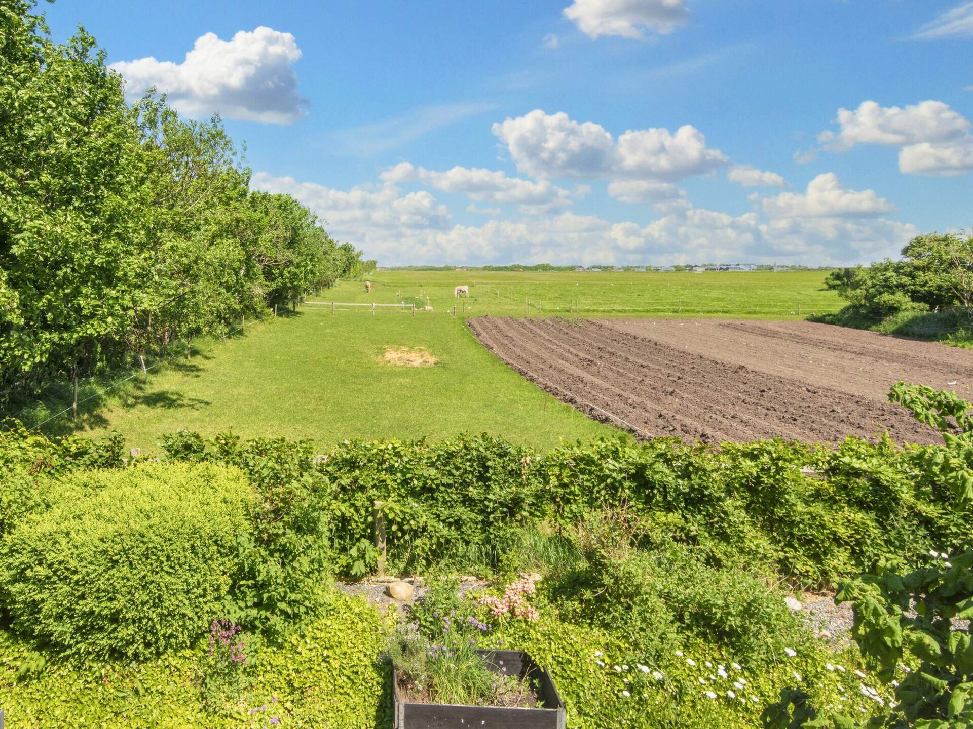 Vrijstaand vakantiehuis met panoramisch fjordzicht bij Ringkøbing - foto 57