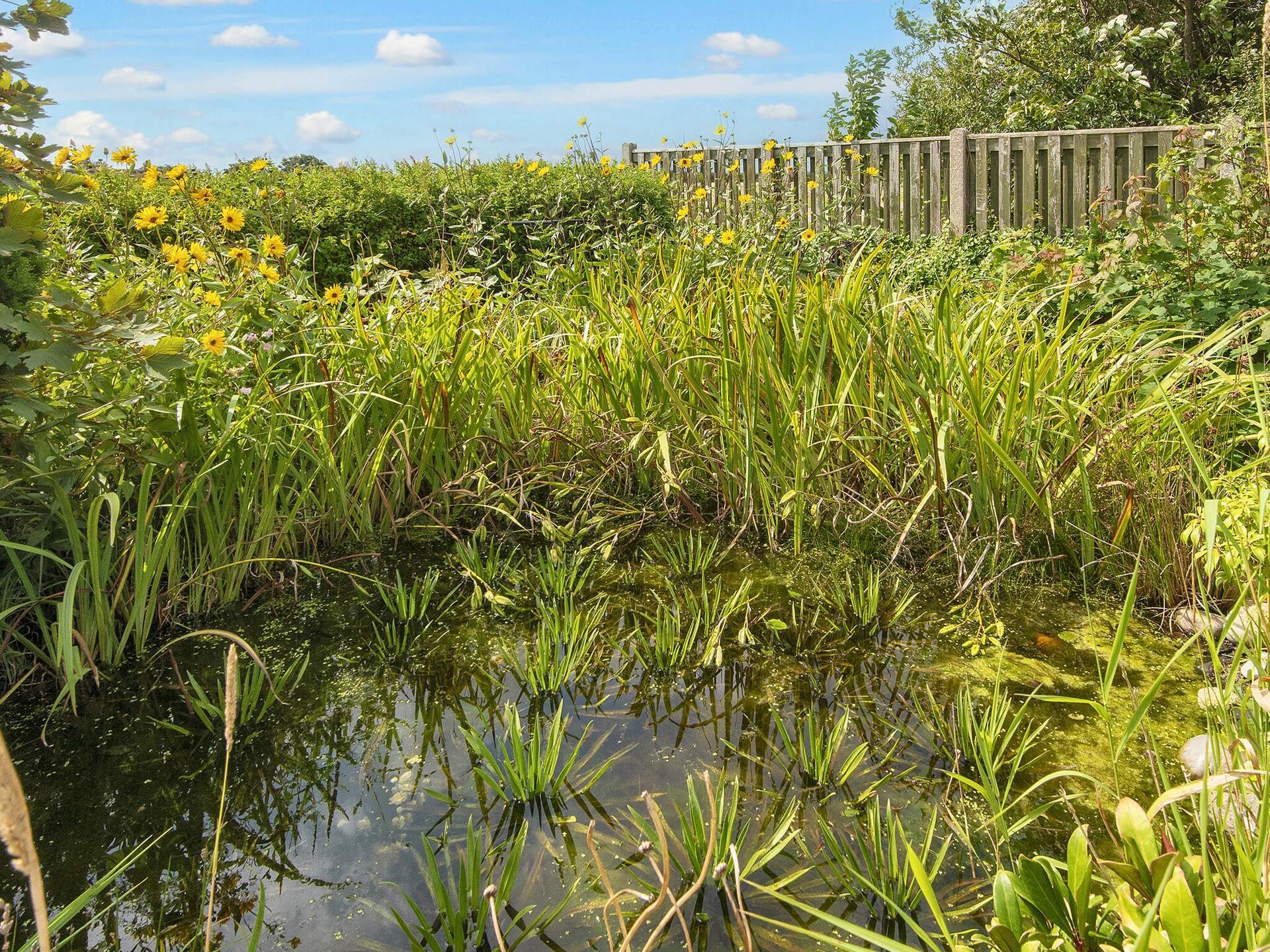 Vrijstaand vakantiehuis met panoramisch fjordzicht bij Ringkøbing - foto 56