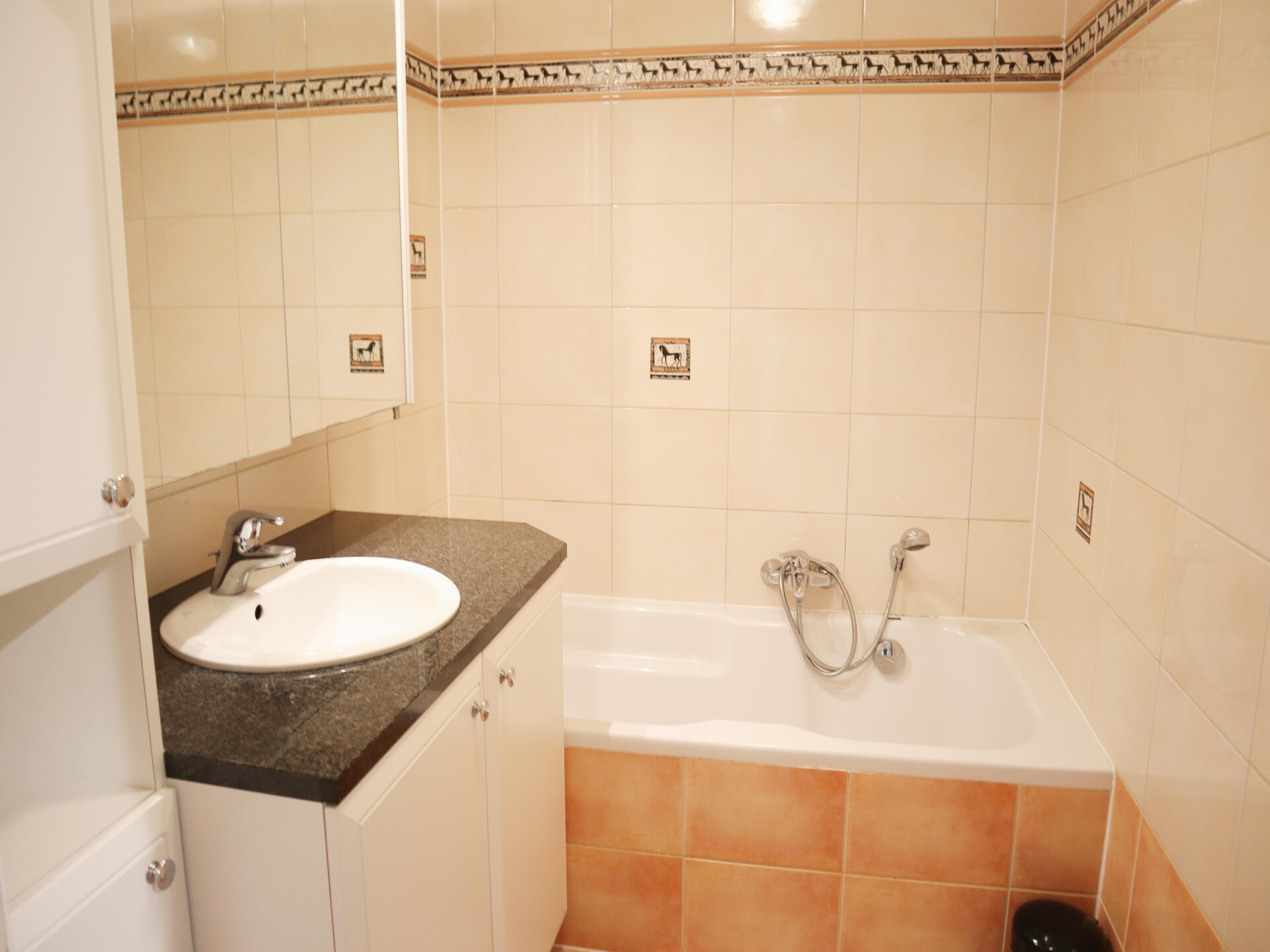 6-persoons hoekappartement met zeezicht op de zeedijk van Nieuwpoort - foto 21