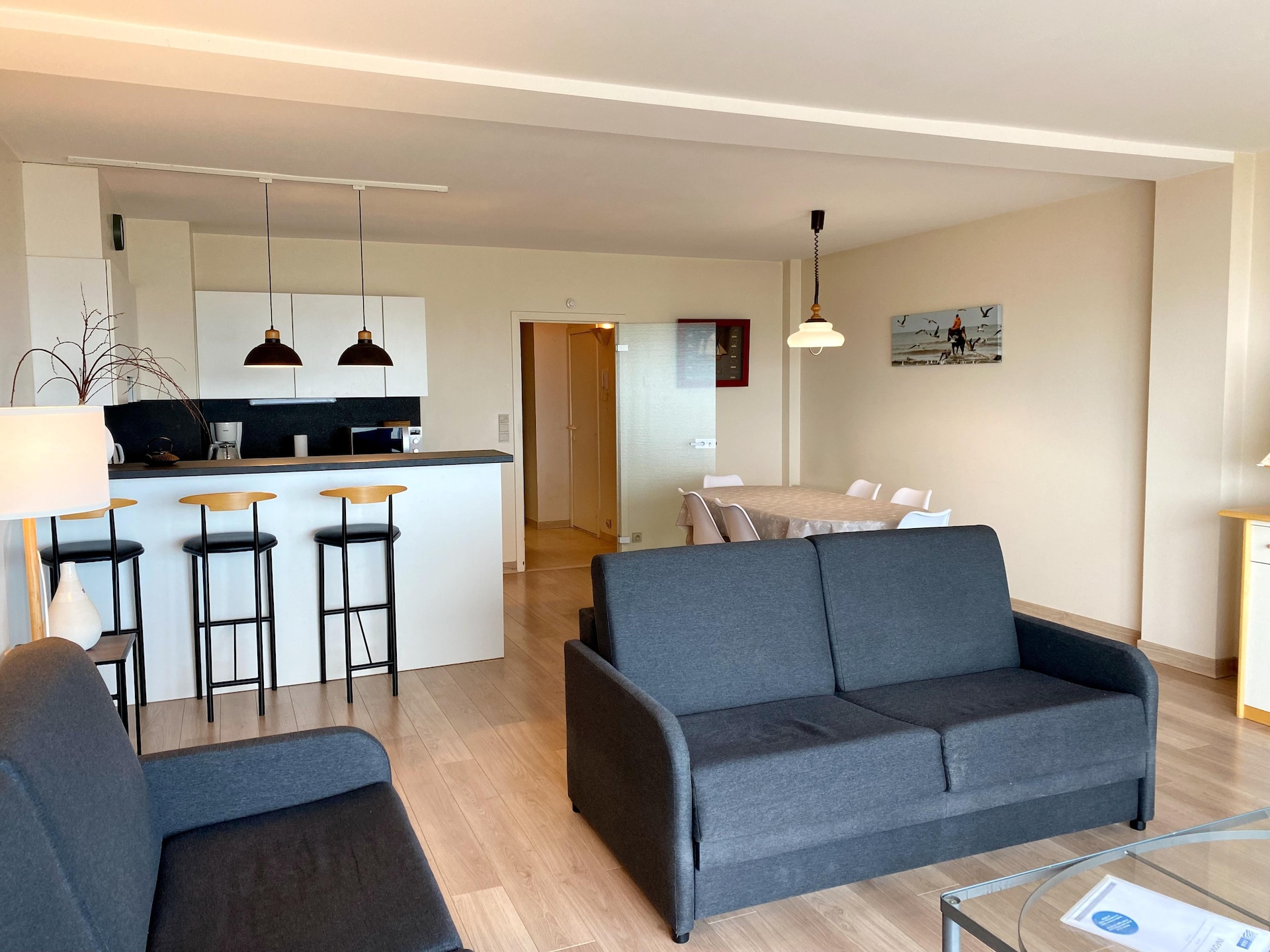 Ruim zeezichtappartement aan de kust van Nieuwpoort met 2 slaapkamers - foto 7