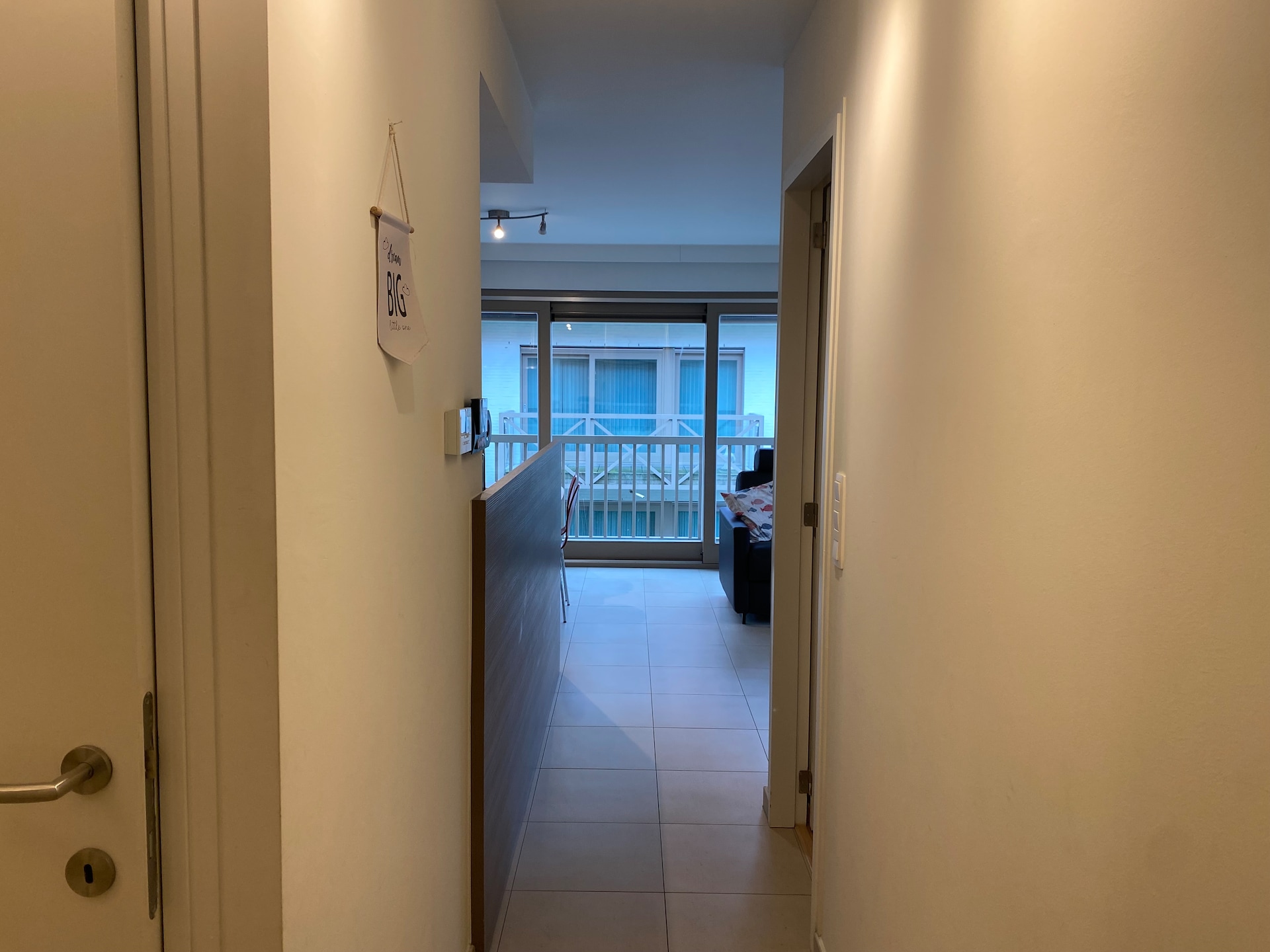 Licht hoekappartement voor 5 personen in hartje Nieuwpoort - foto 13