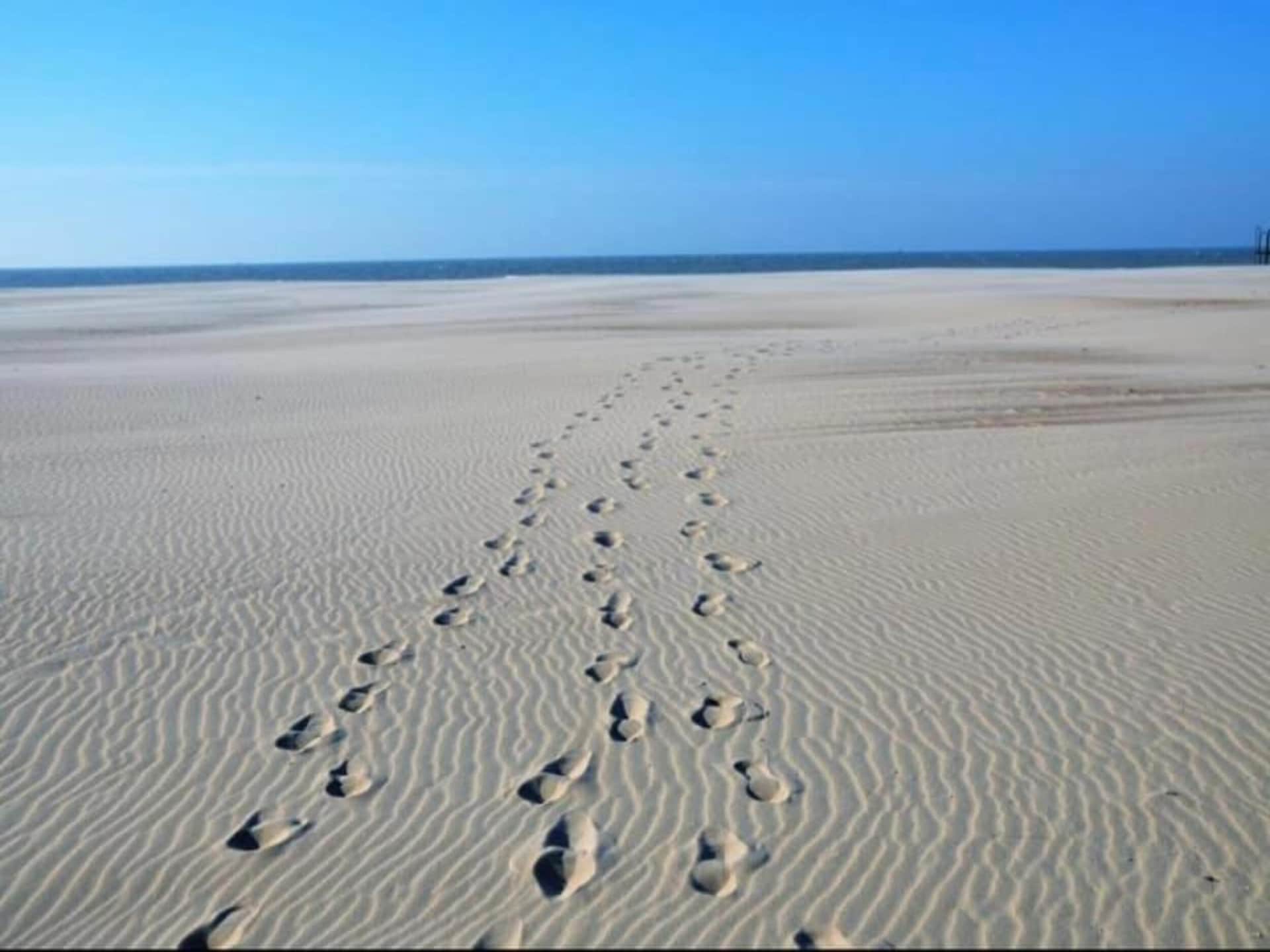 6-persoons appartement met zonneterras in hartje Nieuwpoort · 2 slk - foto 39