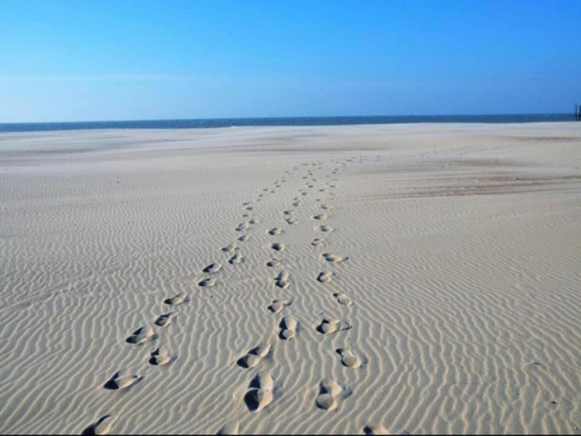 6-persoons appartement aan het strand in Nieuwpoort - foto 40