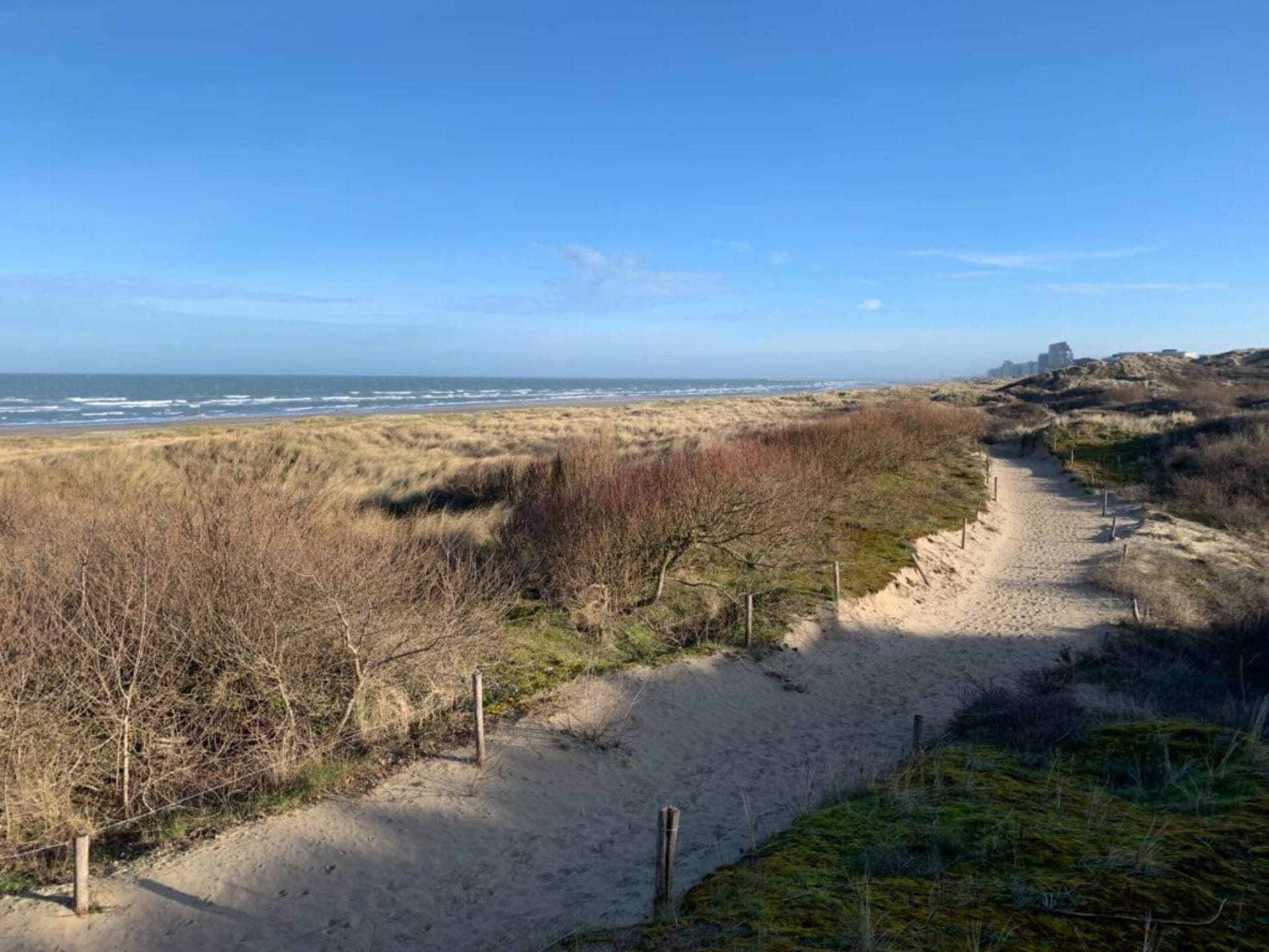 4-persoons appartement in Oostduinkerke met frontaal zeezicht - foto 18