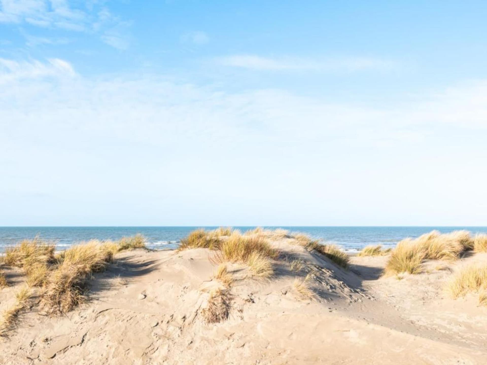 4-persoons appartement in Oostduinkerke met frontaal zeezicht - foto 32