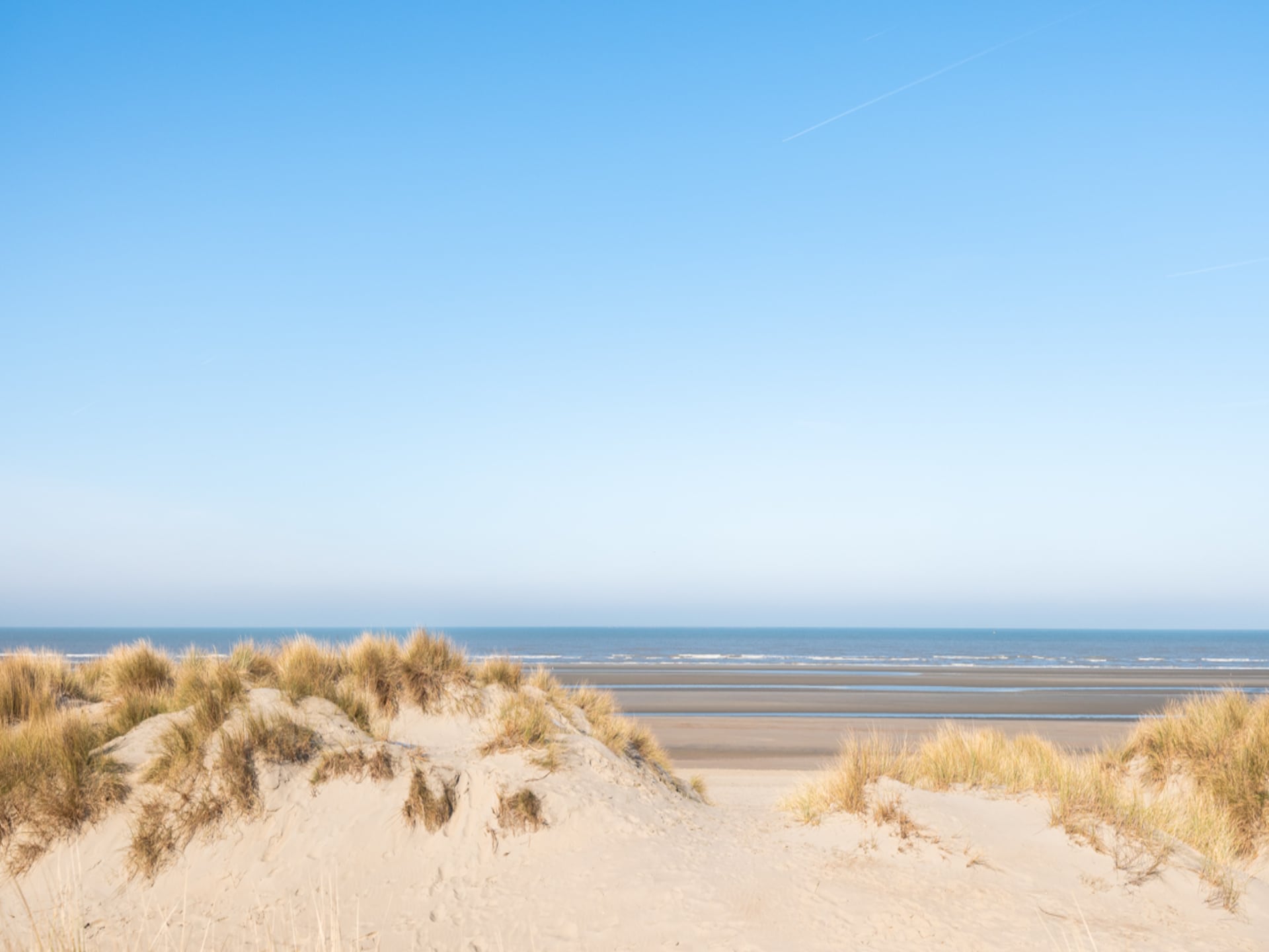 Modern appartement aan zee in Oostduinkerke met golfbaan op loopafstand - foto 16