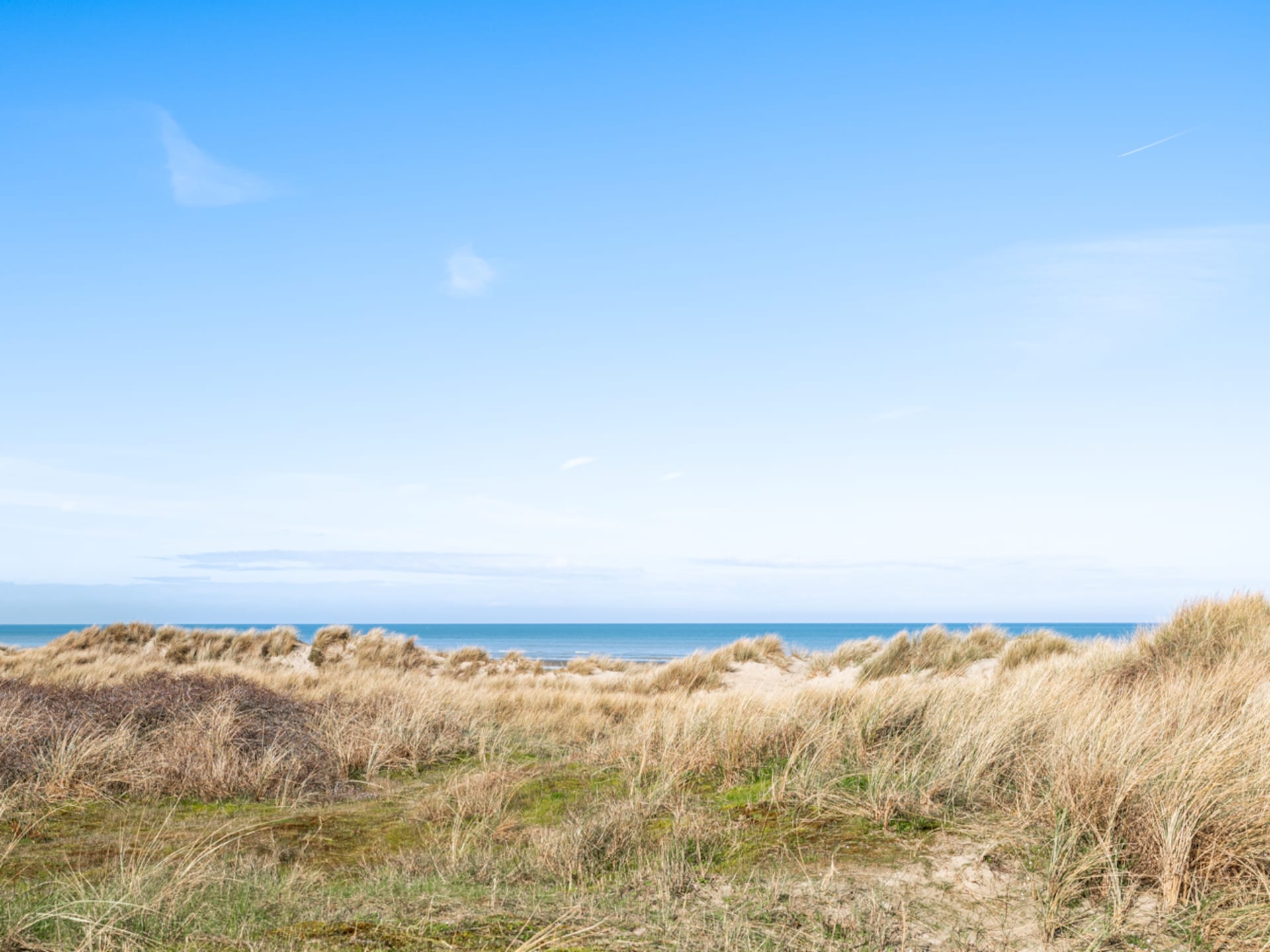 Appartement bij golfbaan Oostduinkerke – 4 pers., balkon - foto 15