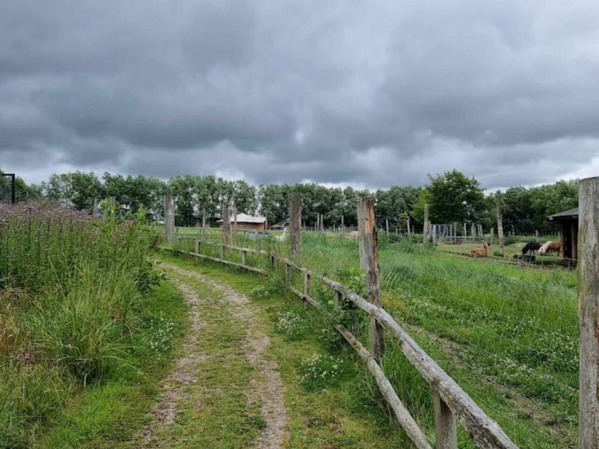 Rustgevend vakantiehuis in Grevinge nabij de Sejerø-baai - foto 10