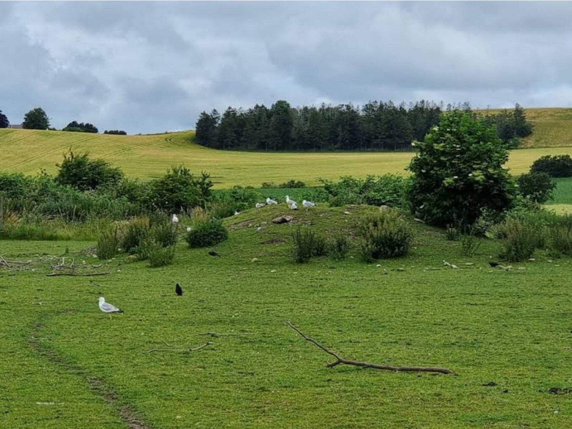 Rustgevend vakantiehuis in Grevinge nabij de Sejerø-baai - foto 12