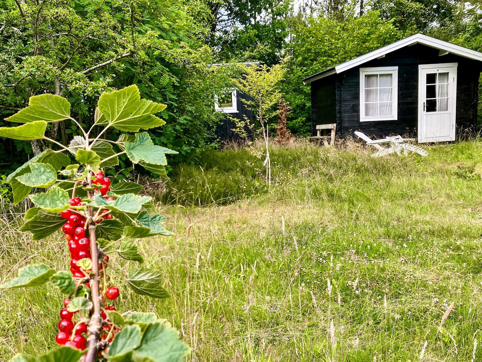 Vrijstaand vakantiehuis bij het water nabij Amtoft met ruime tuin - foto 4