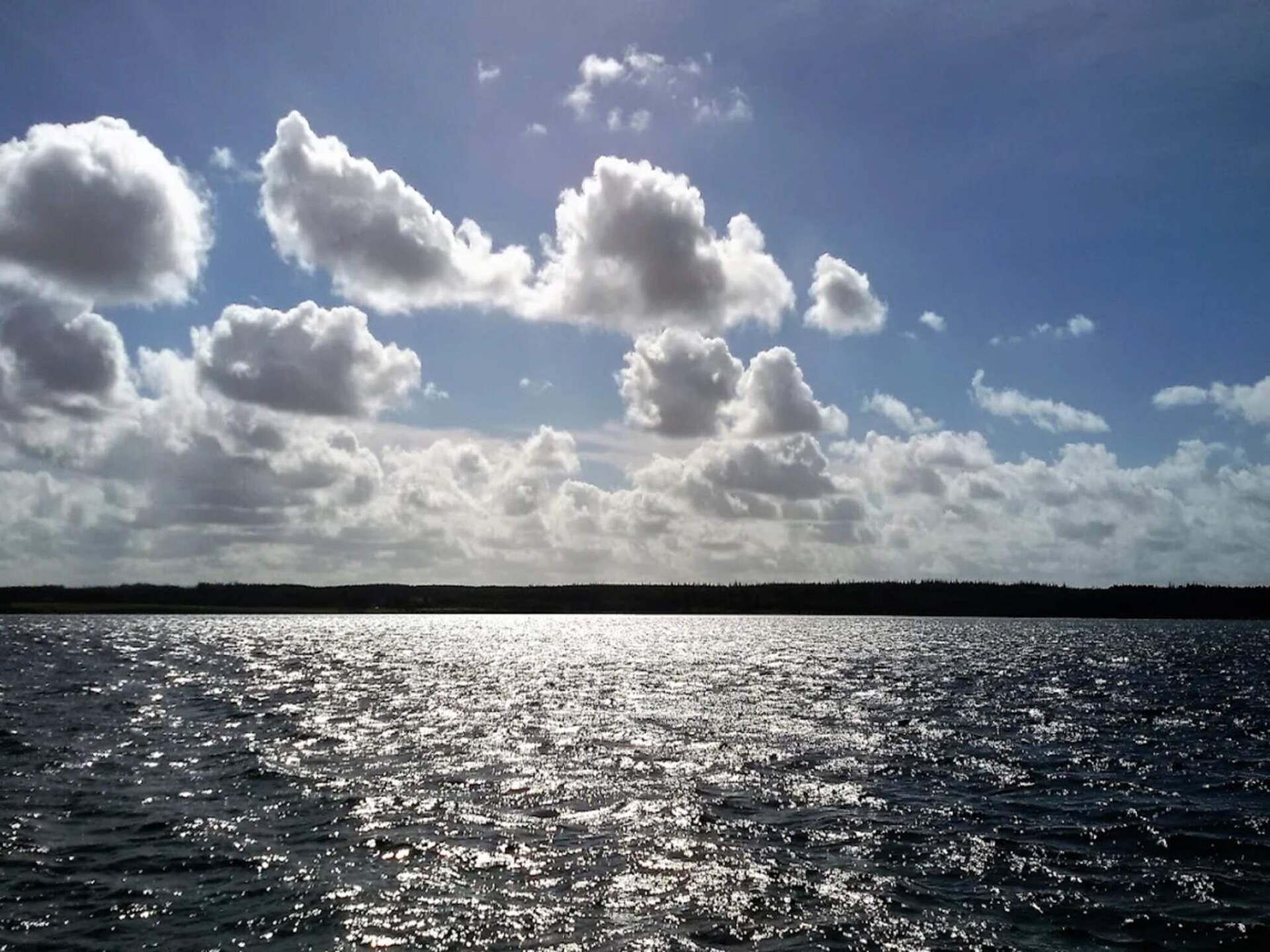 Licht vakantiehuis in Thisted nabij de Noordzee en Vandet Sø - foto 14