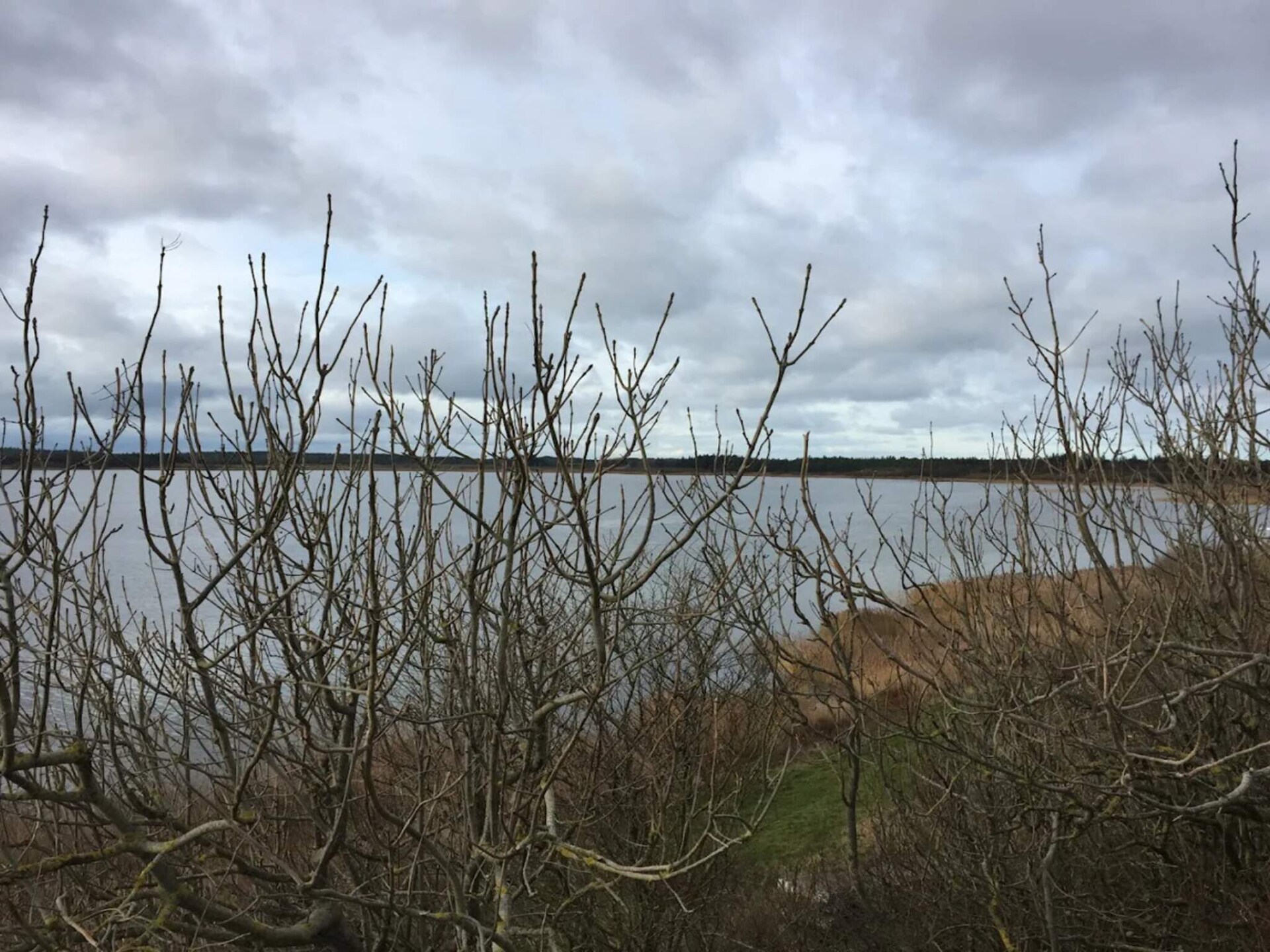 Licht vakantiehuis in Thisted nabij de Noordzee en Vandet Sø - foto 17