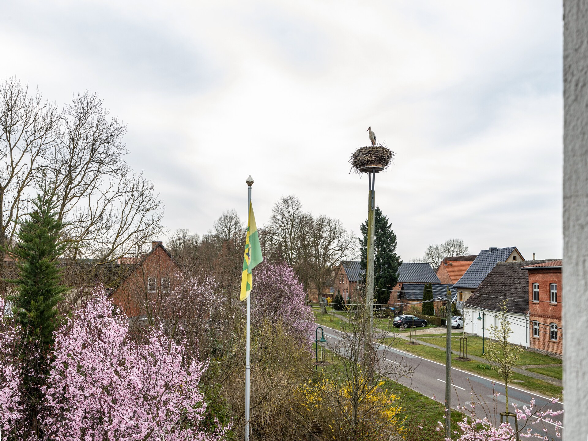Studio 6 Storchenhorst: Gezellig appartement aan de Müritzsee voor 4 personen - foto 31