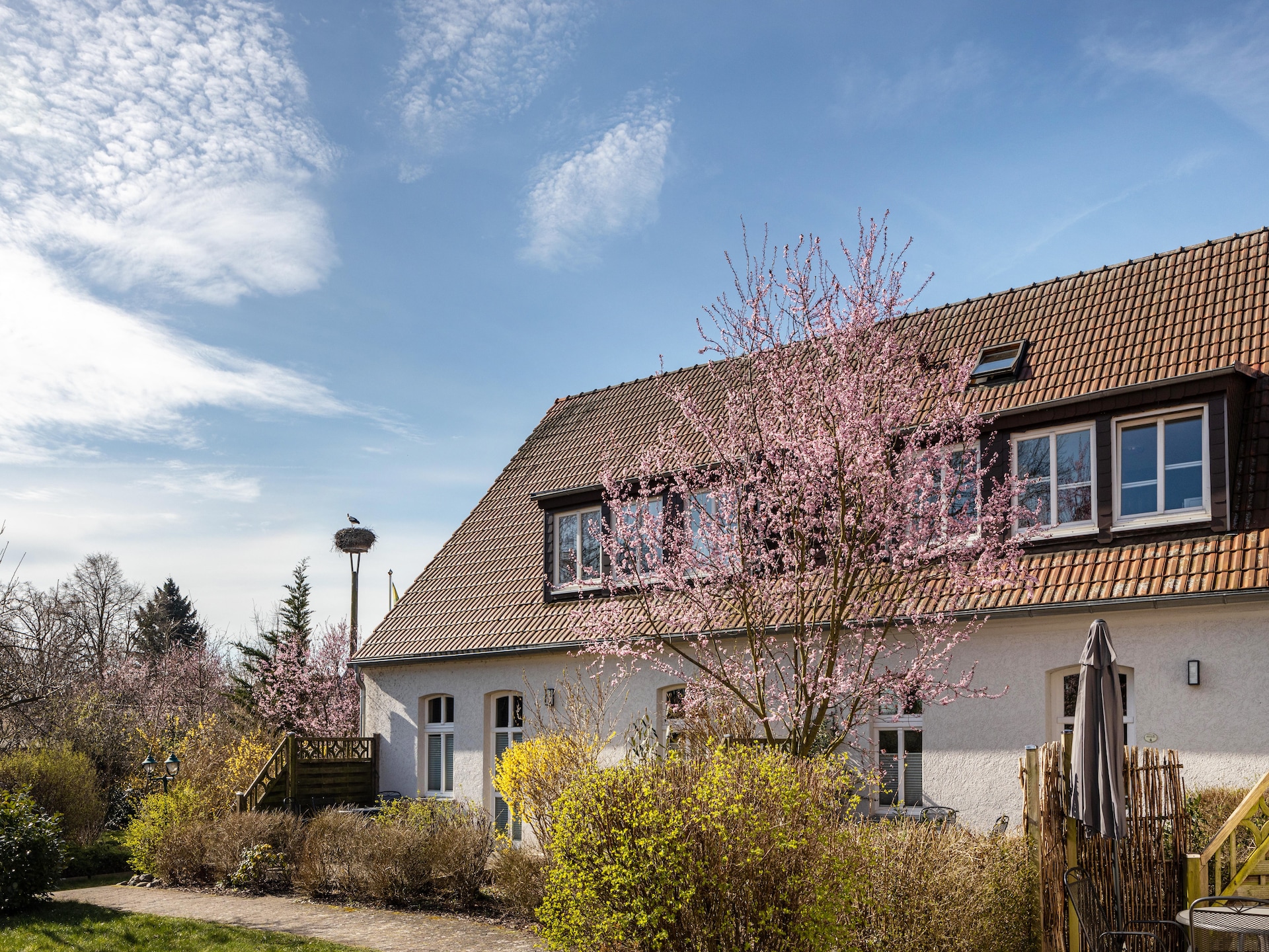 Studio 7 - Kranichhorst: Rustiek appartement direct aan de Müritzsee - foto 6