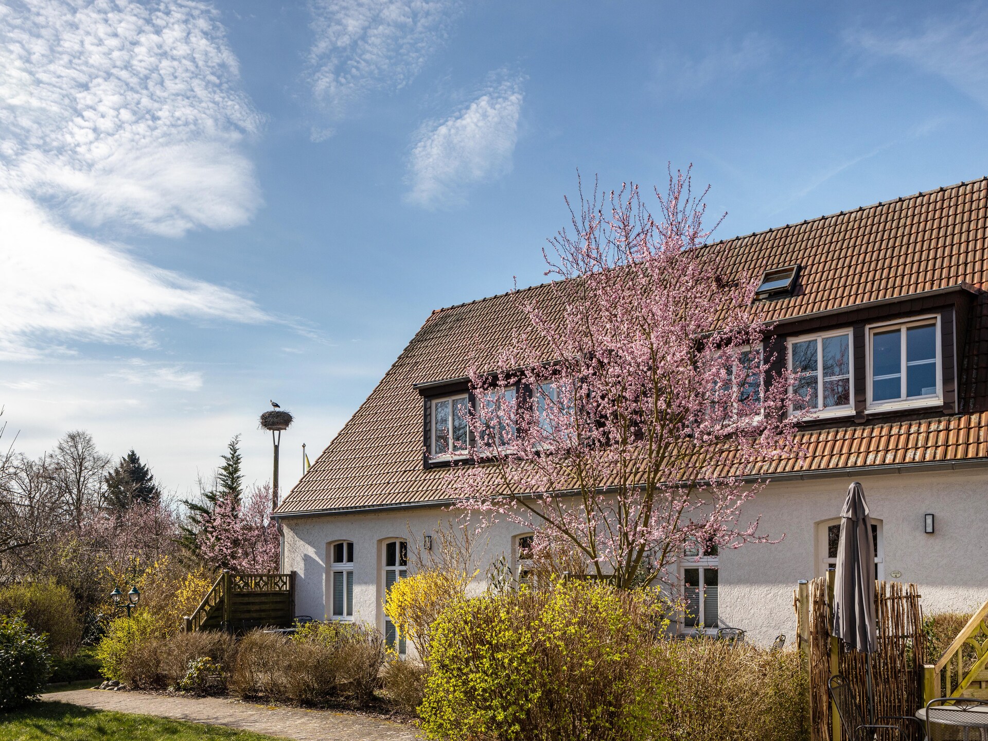 Studio 7 Kranichhorst: Knus appartement voor 3 aan de Müritzsee - foto 10