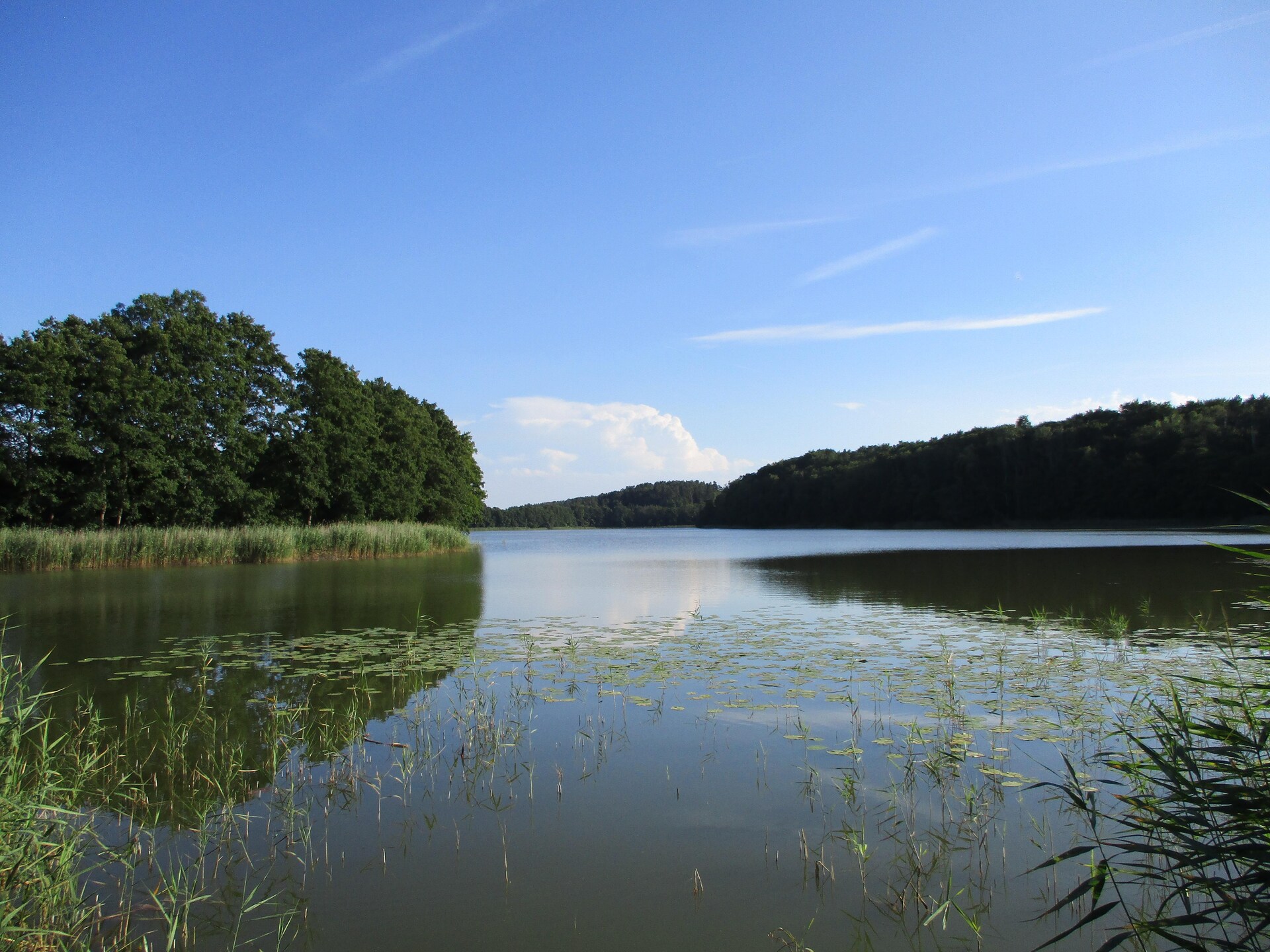 Ruim vakantiehuis voor 12 personen in Kołczewo - foto 21