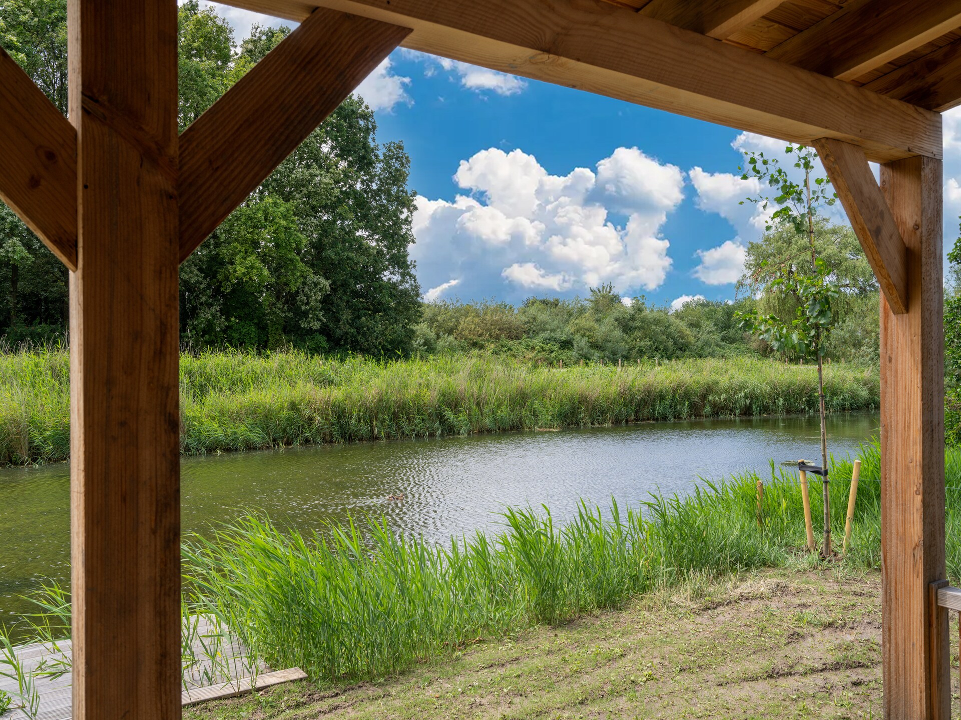 Vrijstaand vakantiehuis aan het meer met sauna, 150m van strand - foto 35