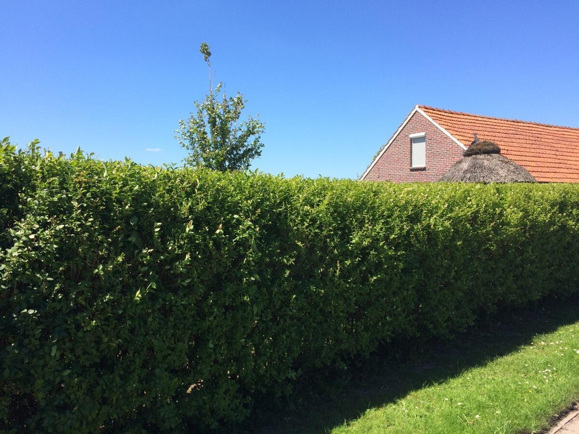 Haus Deichperle: Rustiek vakantiehuis op de dijk bij Dornumersiel - foto 16