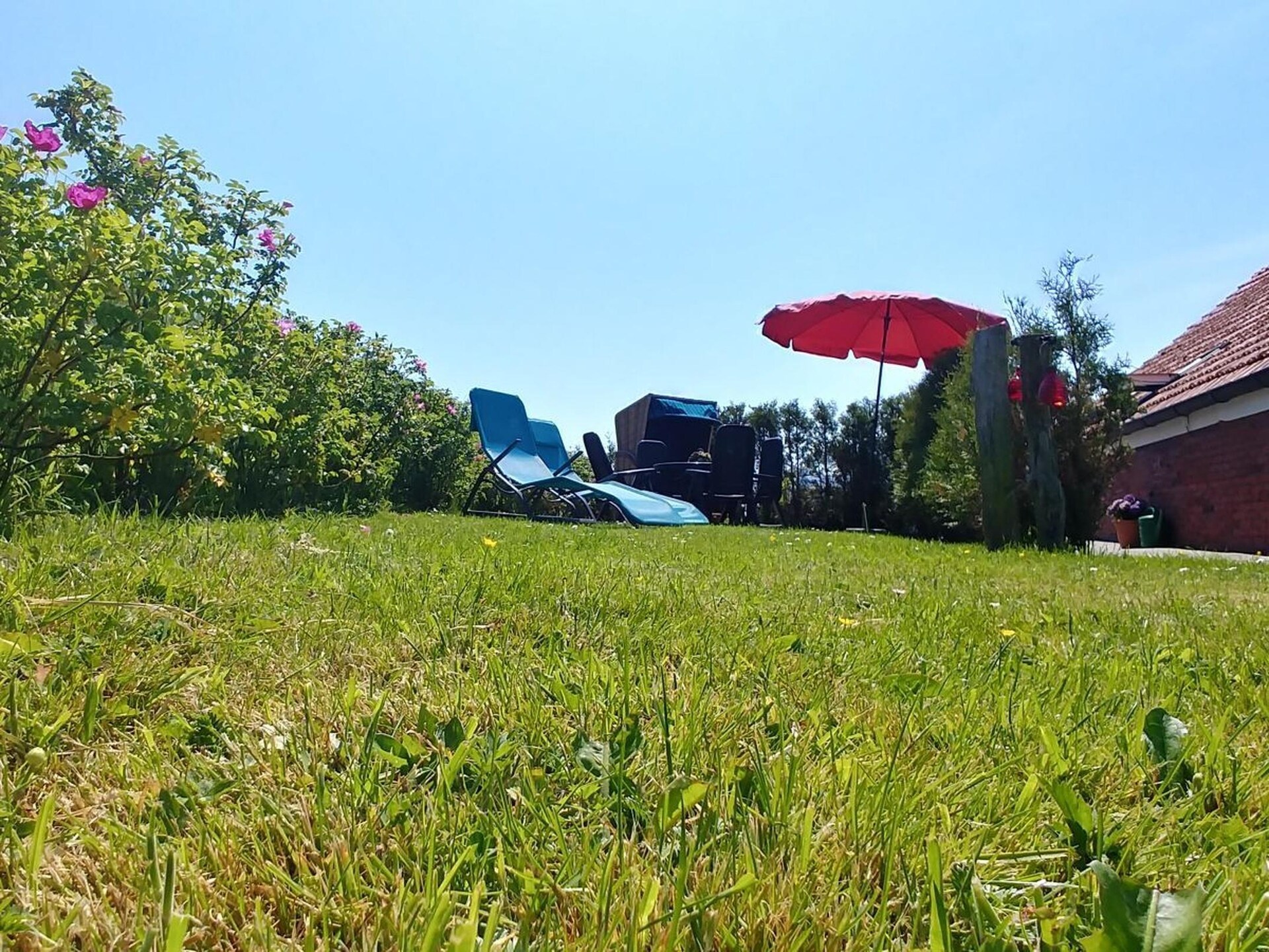 Haus Deichperle: Rustiek vakantiehuis op de dijk bij Dornumersiel - foto 18