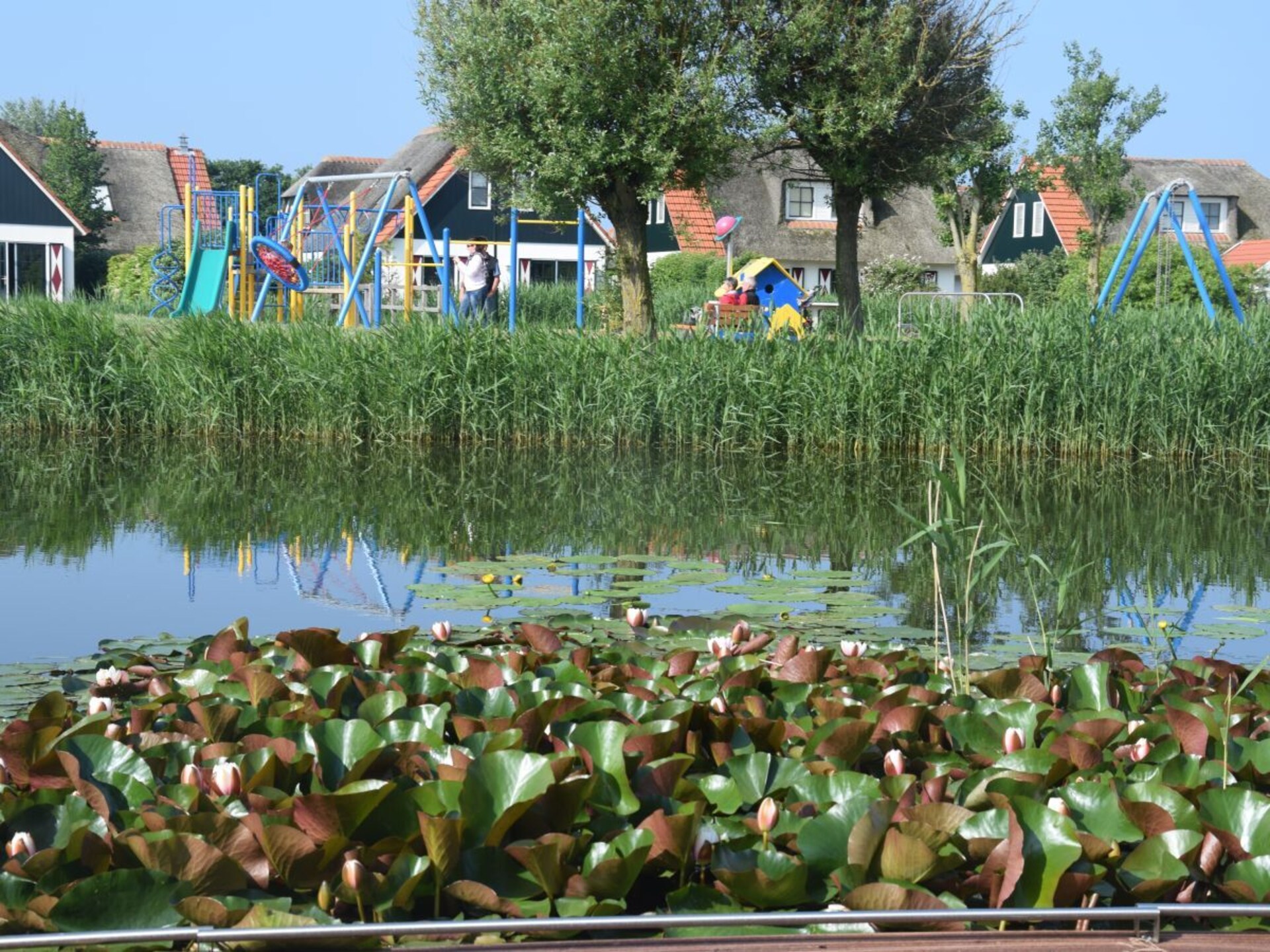 Rietgedekt vakantiehuis met uitzicht op meer in Callantsoog - foto 8
