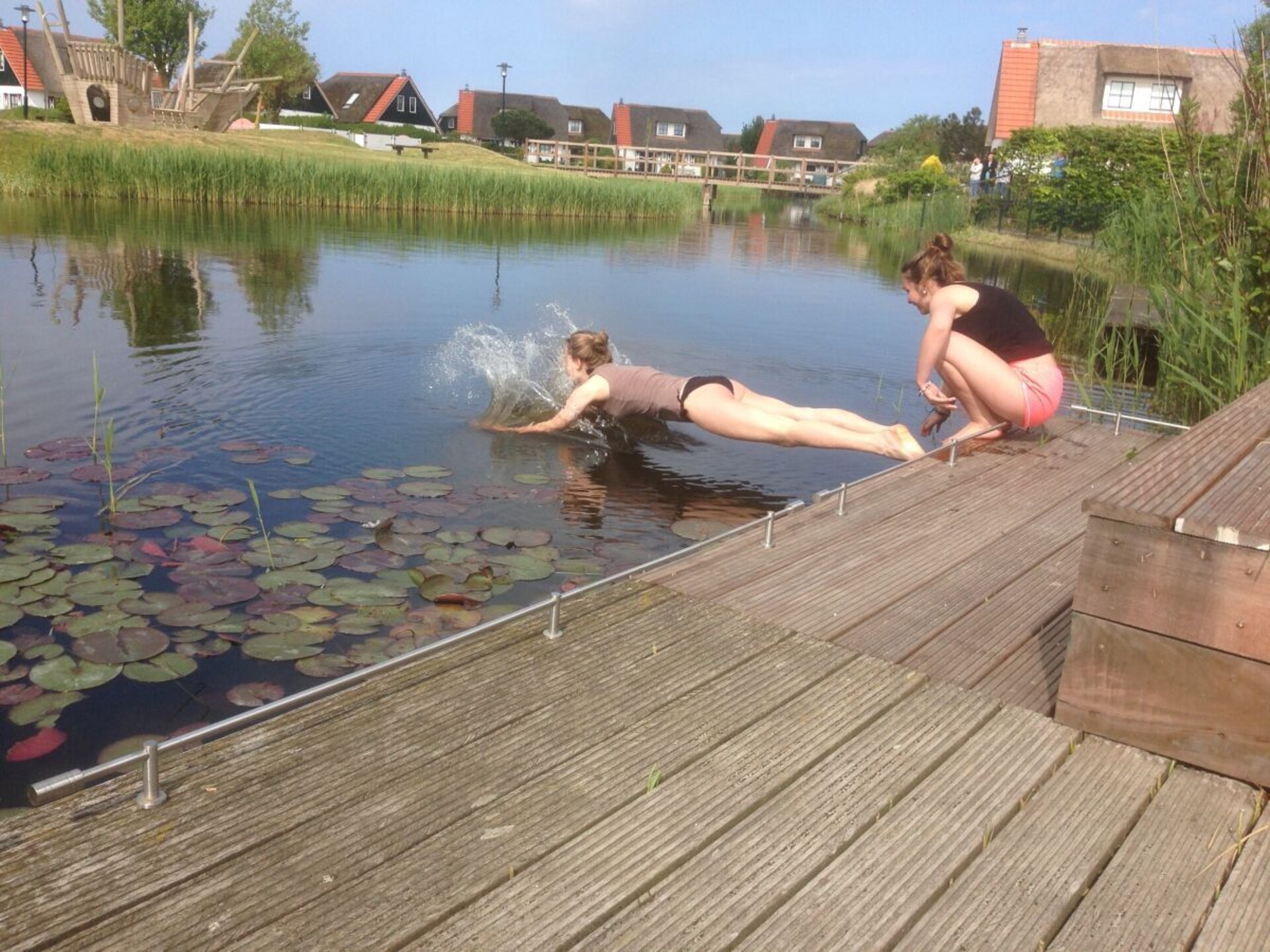 Rietgedekt vakantiehuis met uitzicht op meer in Callantsoog - foto 11