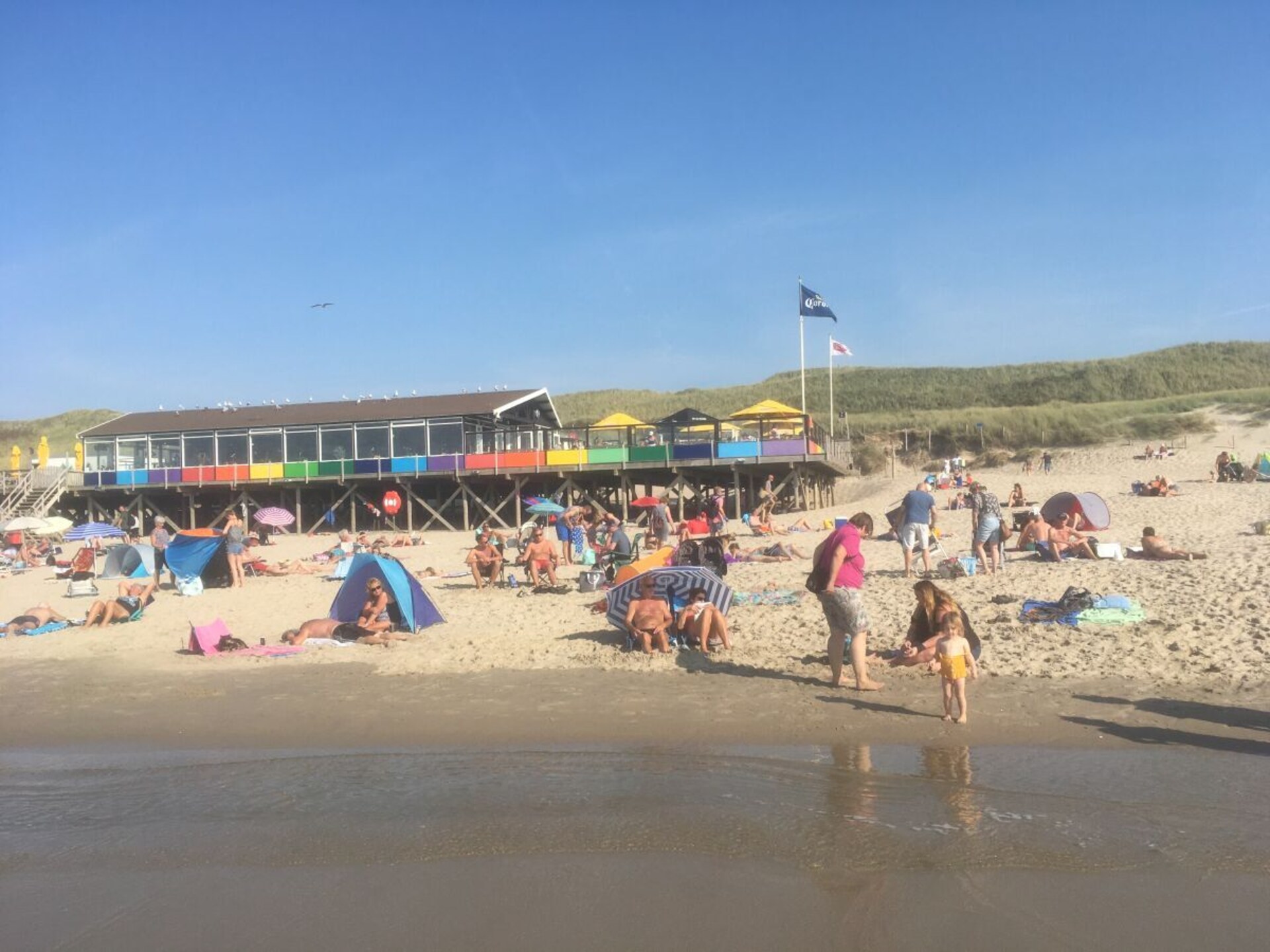 Rietgedekt vakantiehuis met uitzicht op meer in Callantsoog - foto 27