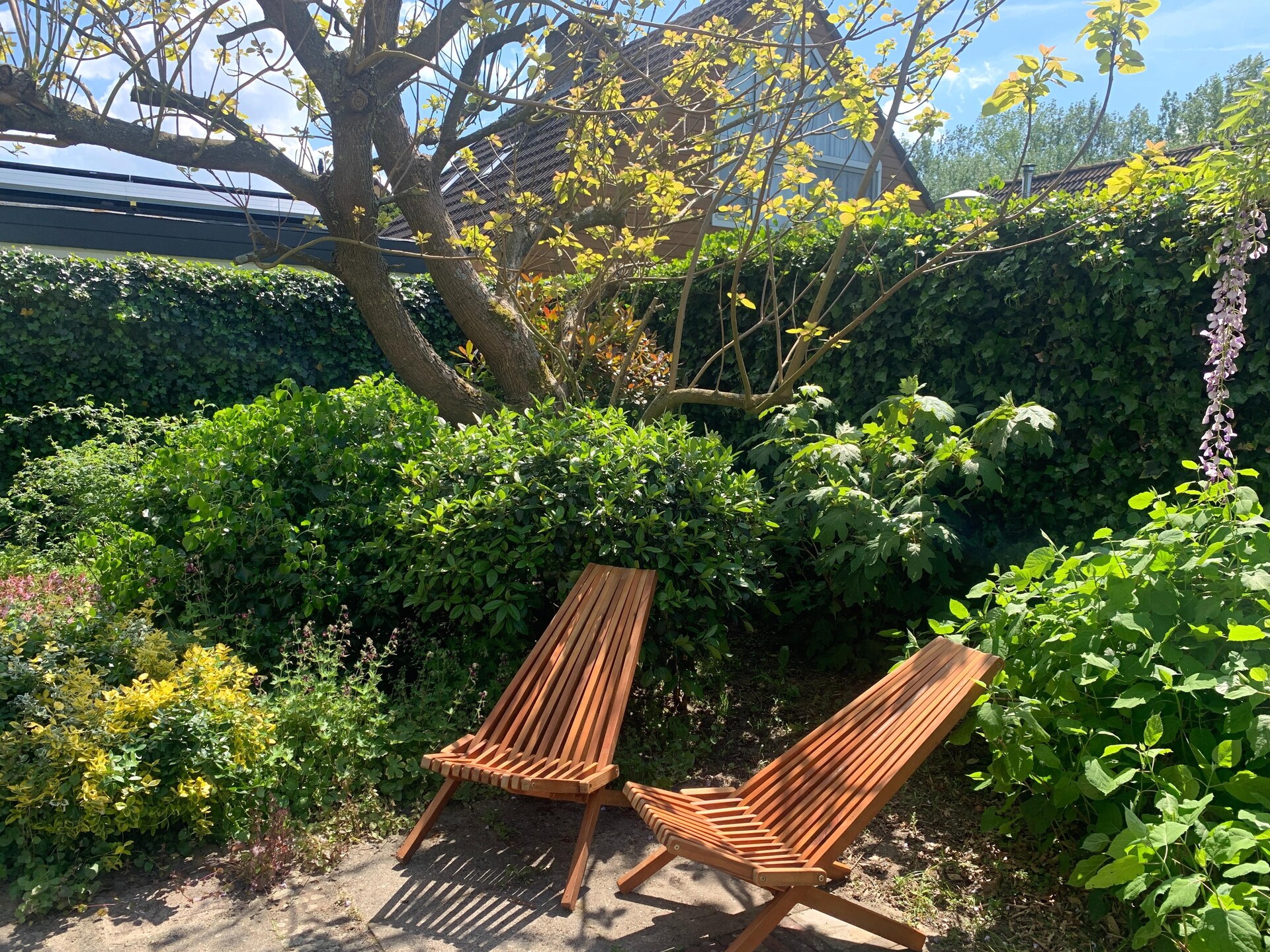 Casa Duna: Knus vakantiehuis aan de rand van Noordwijkerhoutse bossen - foto 28