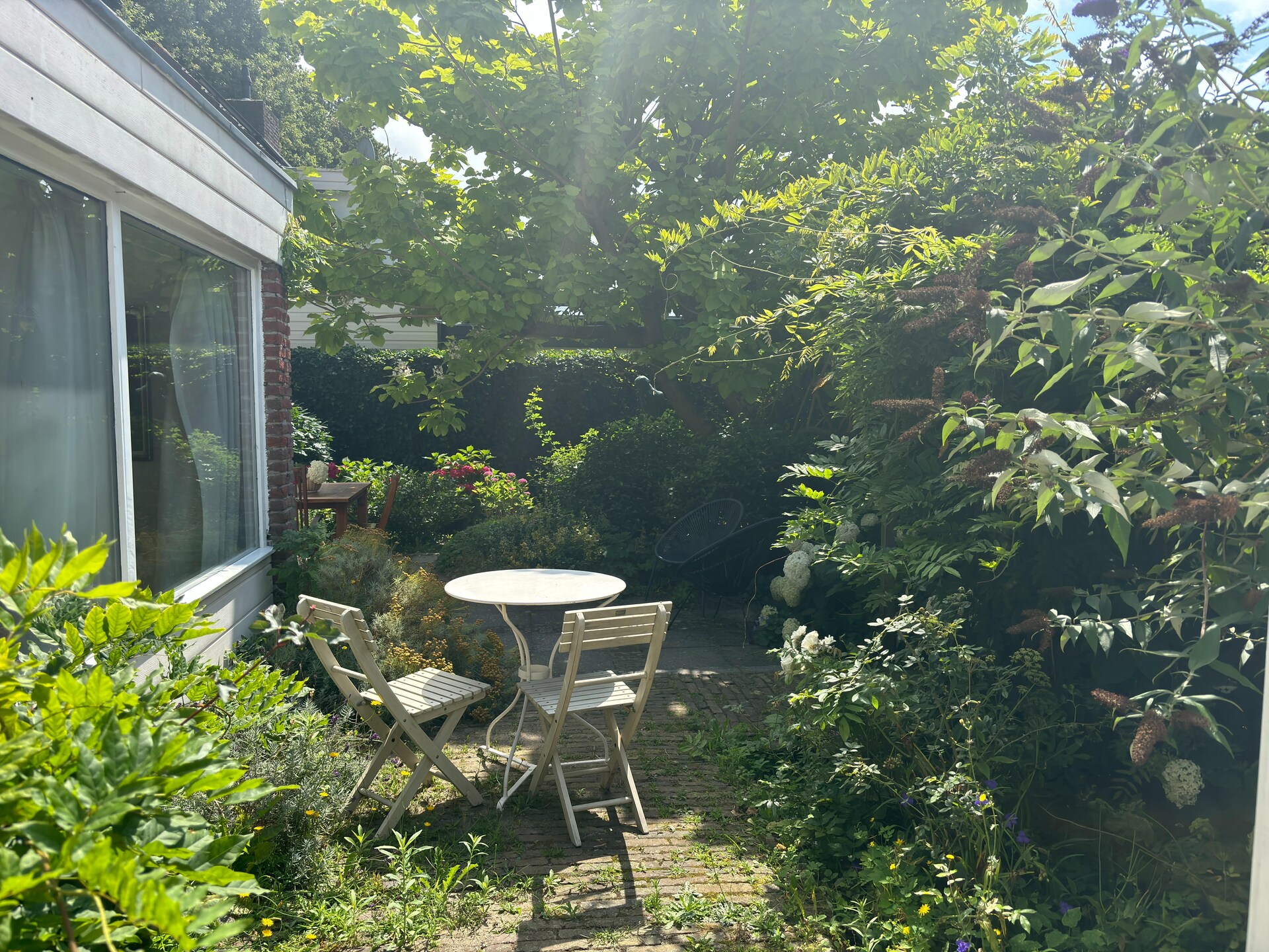 Casa Duna: Knus vakantiehuis aan de rand van Noordwijkerhoutse bossen - foto 31