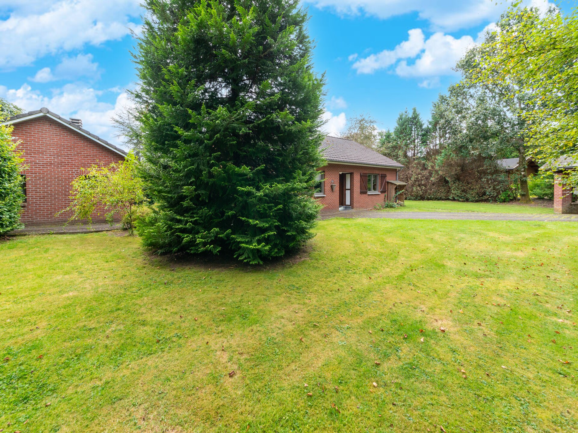 4-persoons vakantiehuis met tuin in hartje Recht - foto 34